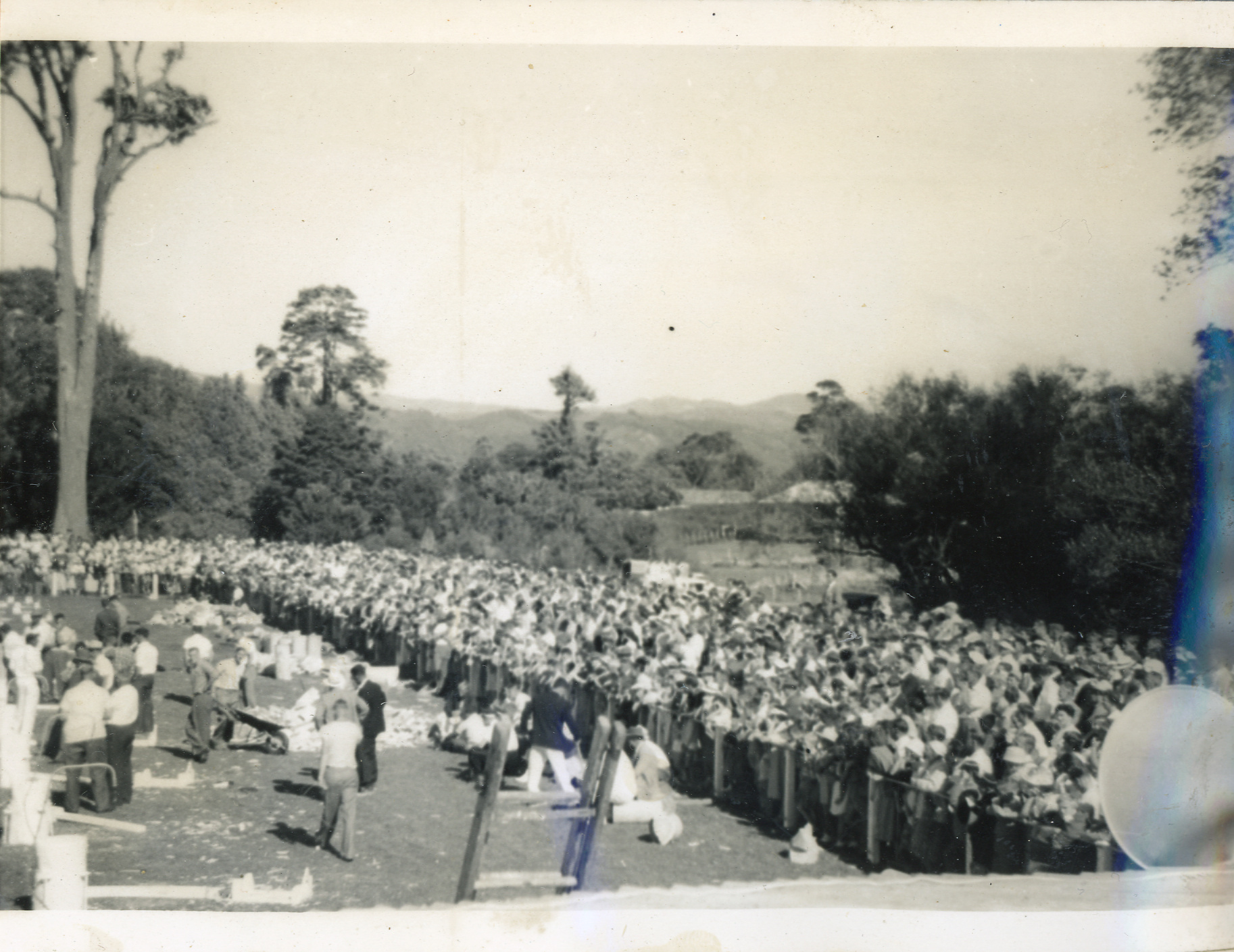 Axemen's Association Scrapbook; Trentham Axemen's Event; ca. 1958