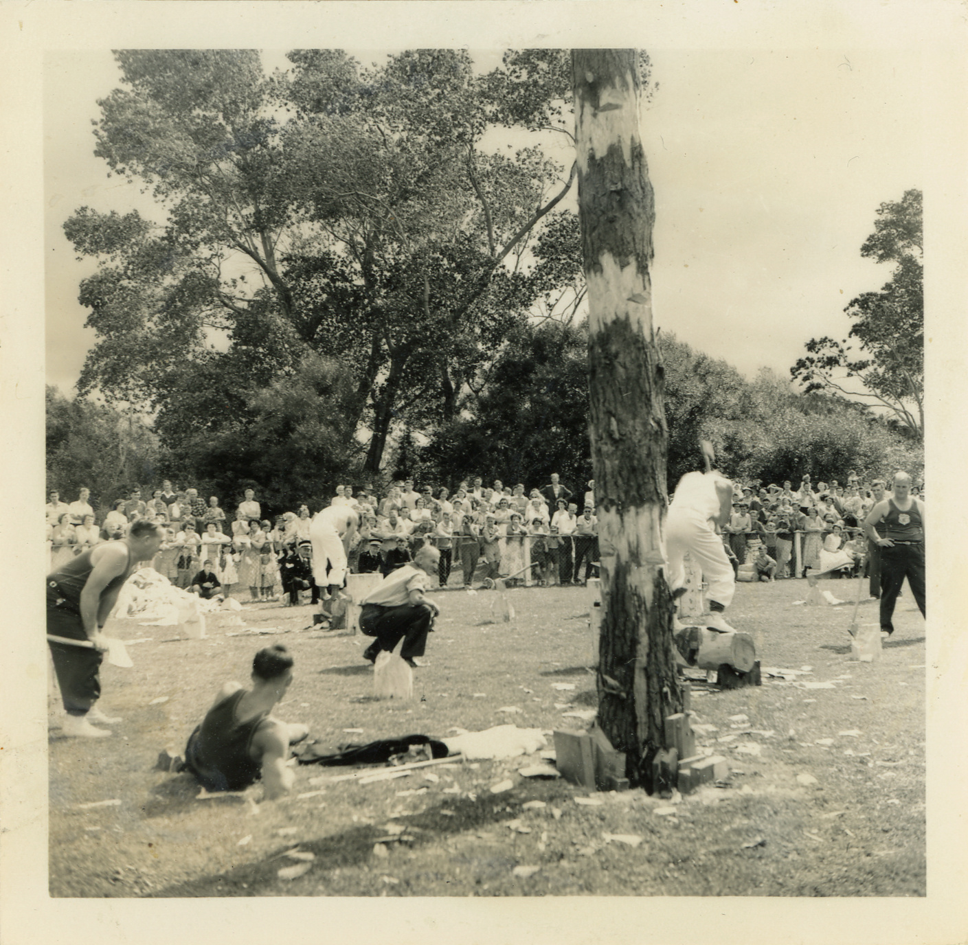 Axemen's Association Scrapbook; Barton's Bush; 1958