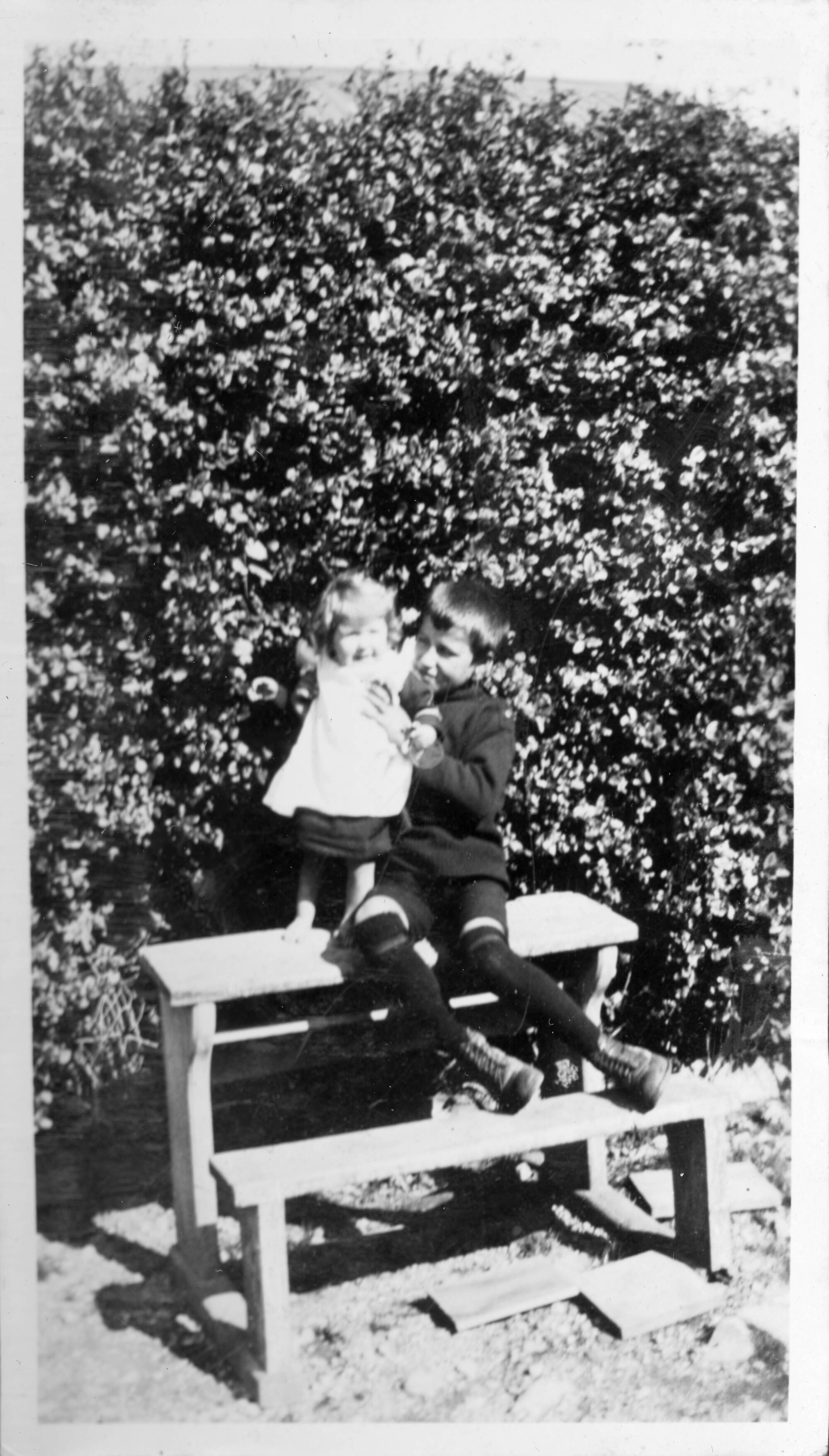 Sharman Marsh Family Photo Album; David Poulson and Holly; ca. 1925-30