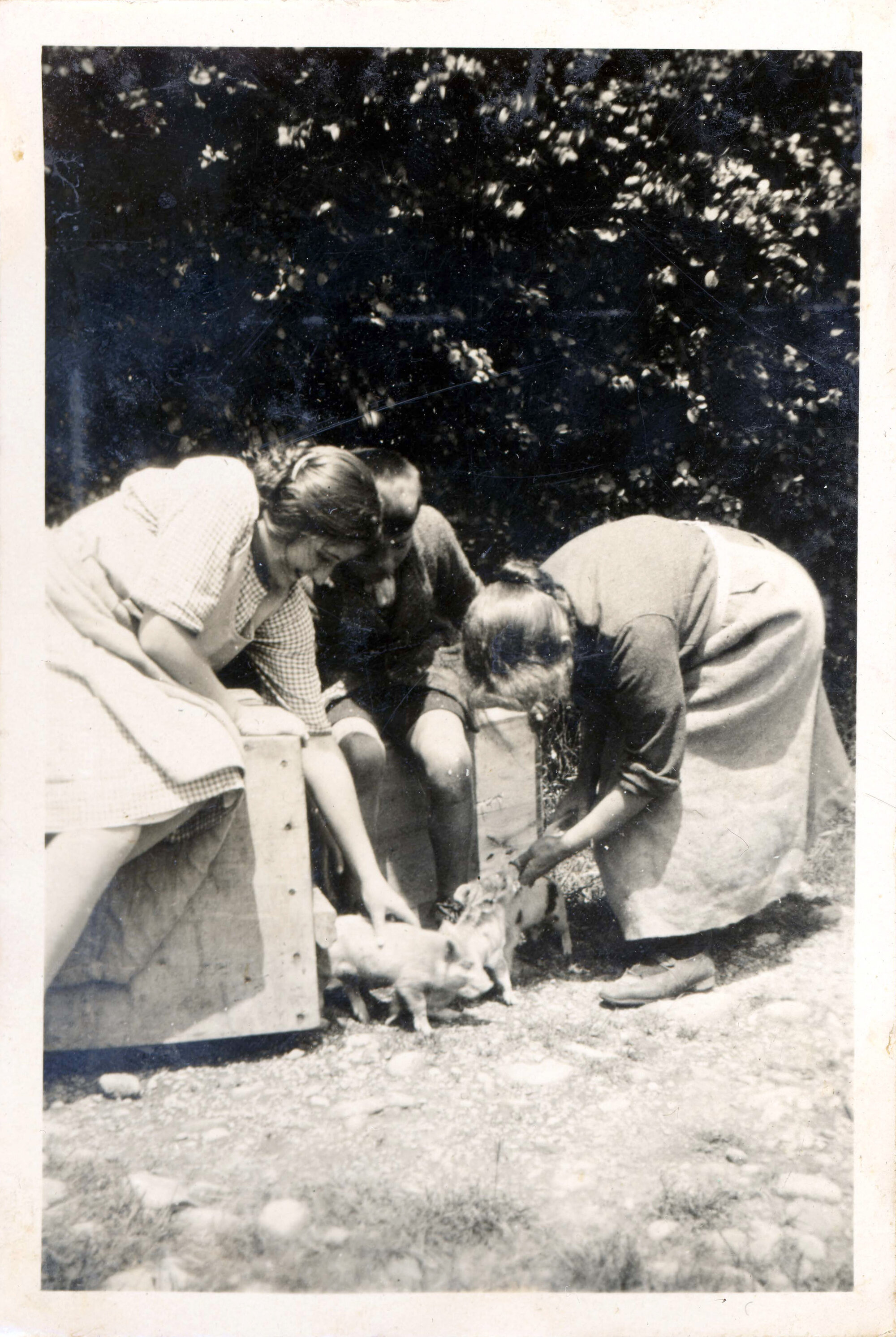 Sharman Marsh Family Photo Album; Poulsons with Piglets; ca. 1925-30