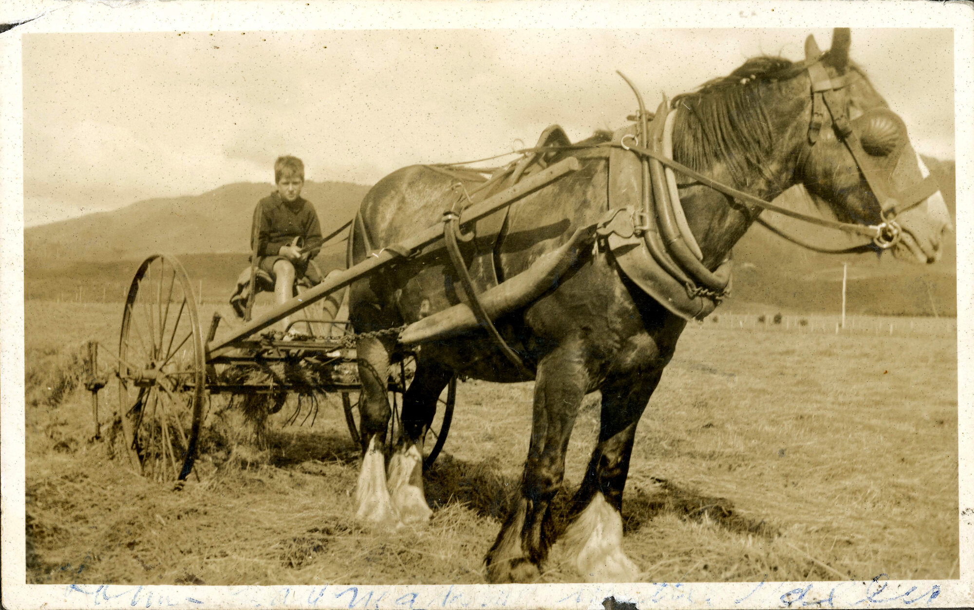 Sharman Marsh Family Photo Album; Tom Poulson; ca. 1921-34
