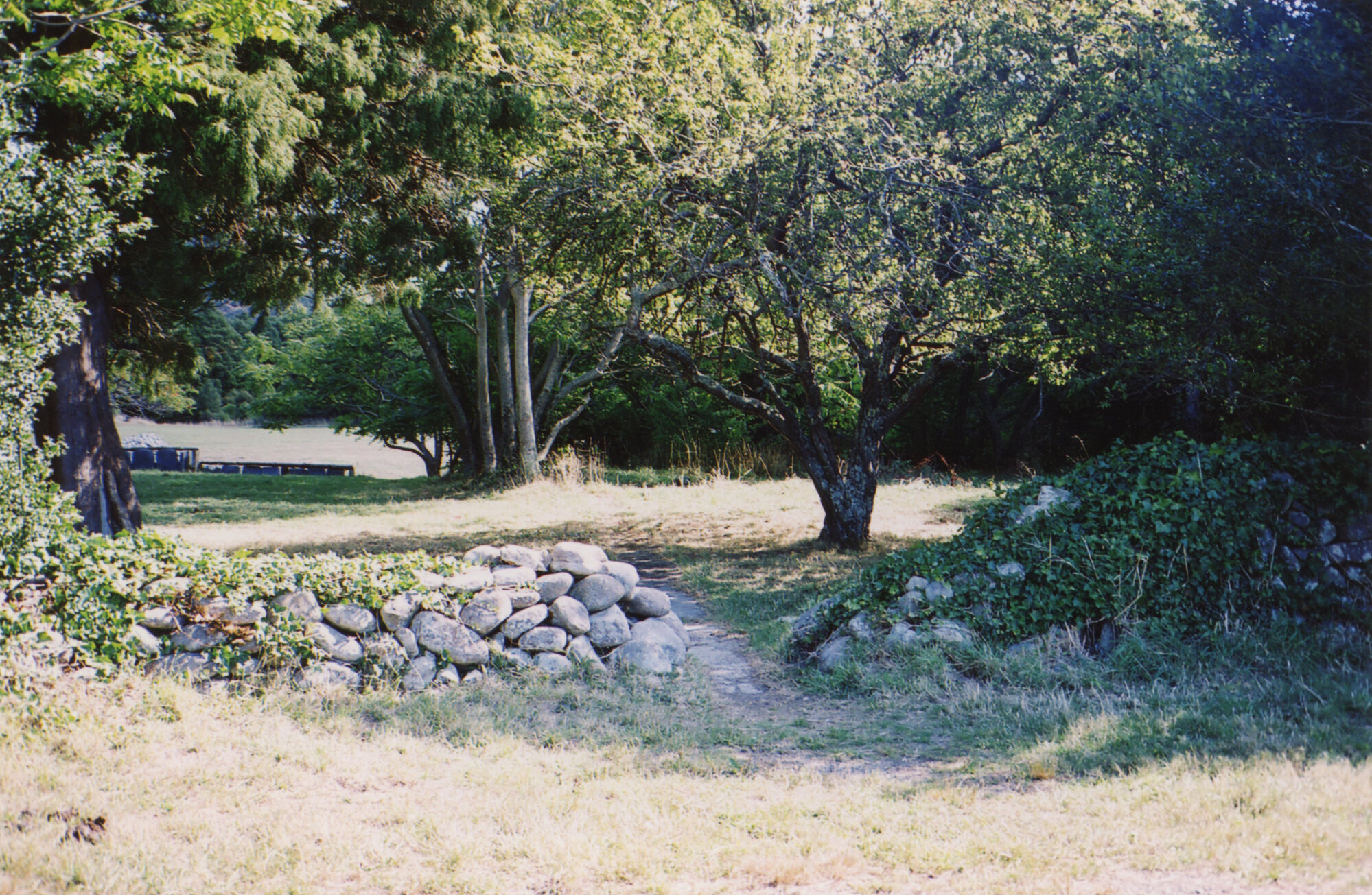Former Farm of David and Francis Benge