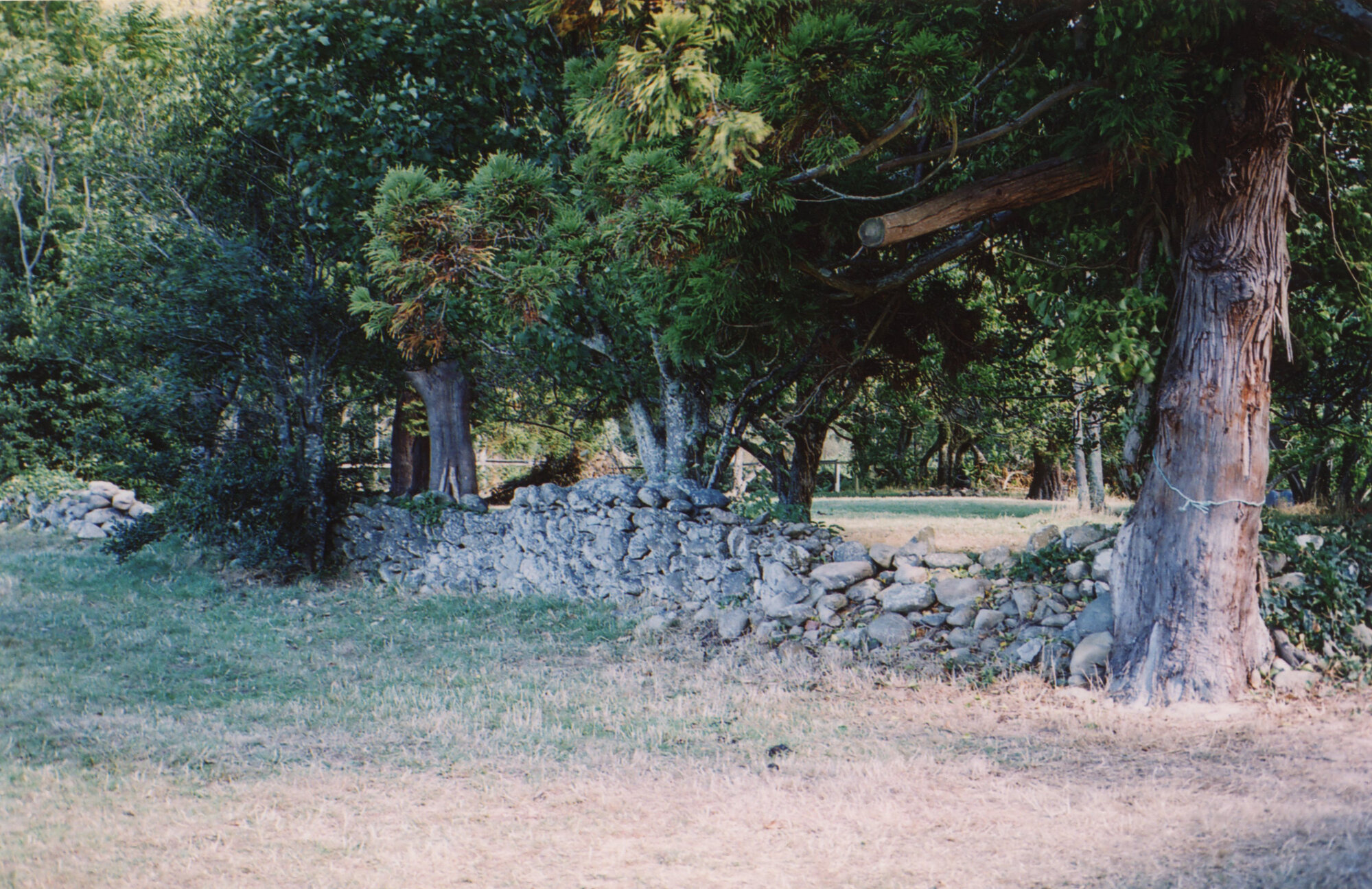 Former Grounds of David Benge's Farm