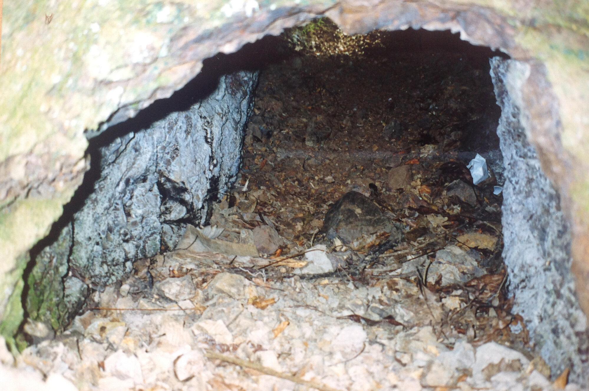 Outlet from David Benge's Mill