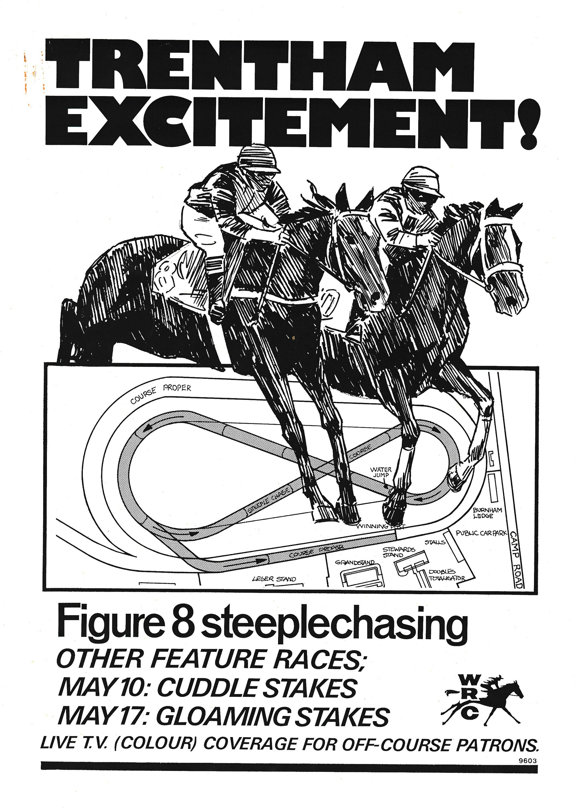 Wellington Racing Club; Advertising Mock up and proofs for Steeplechase 