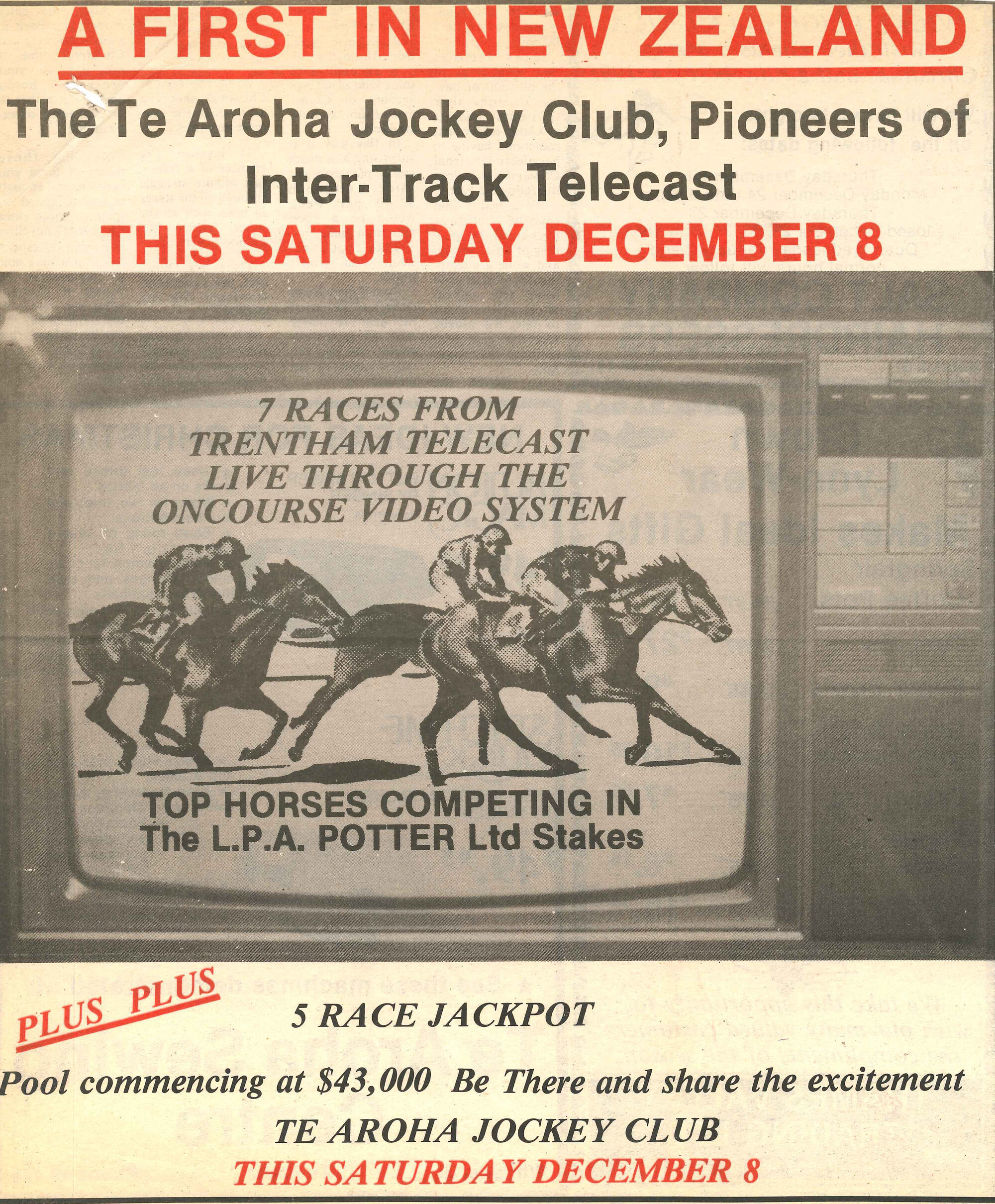 Wellington Racing Club; Race Day Advertisement 