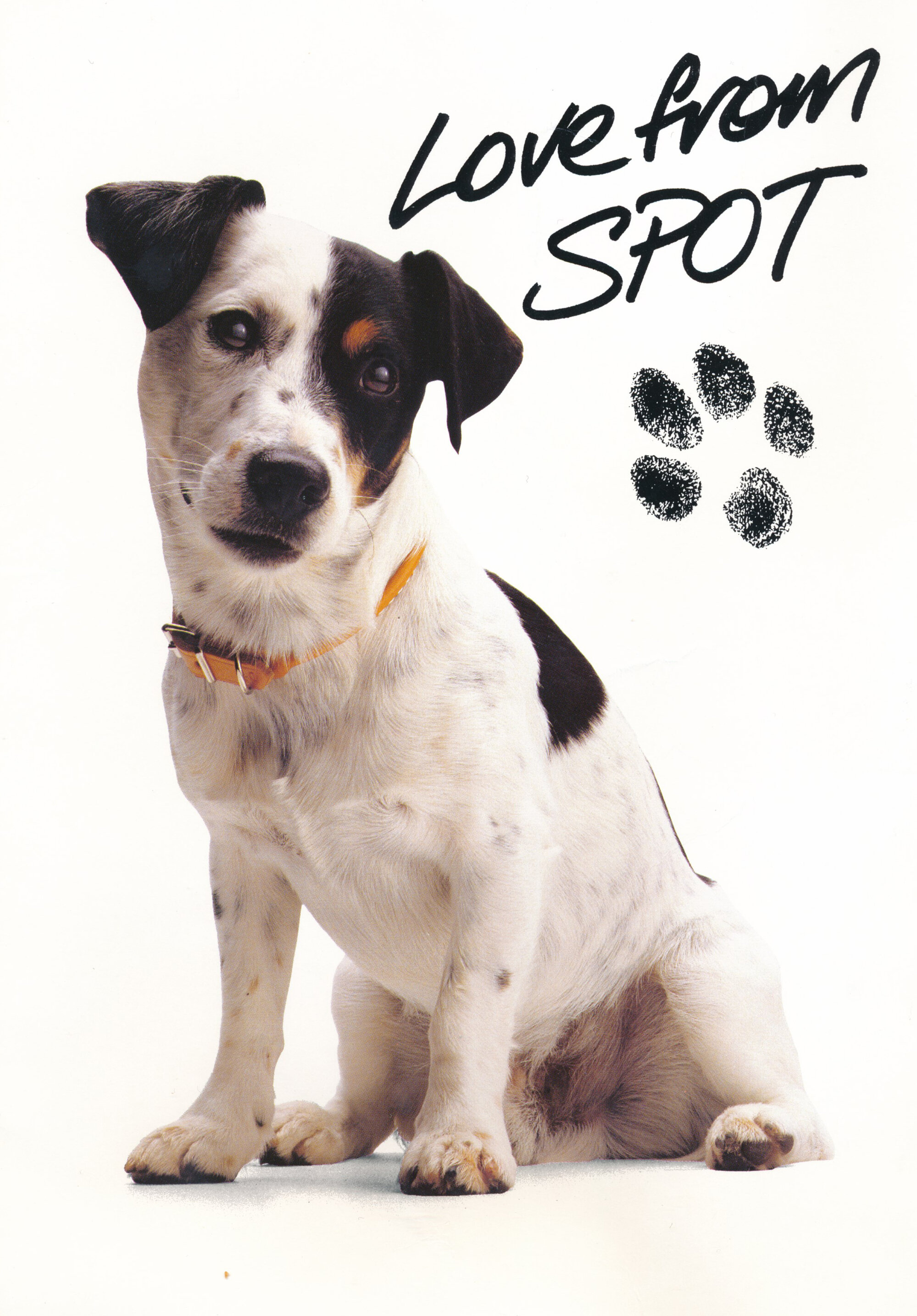 Tessa and Jack's Wedding; A card from Spot the Telecom Dog