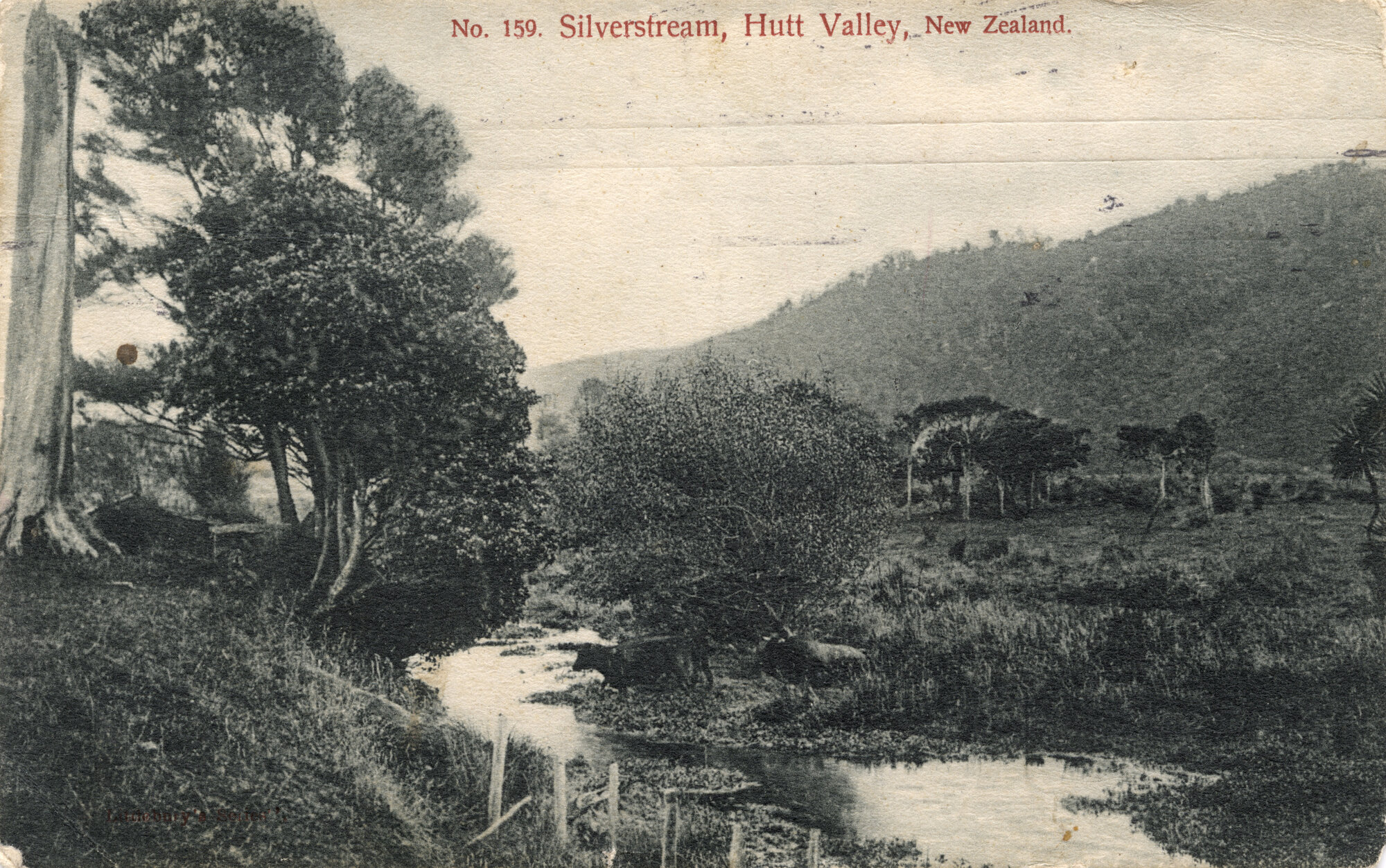 Silverstream; stream scene.