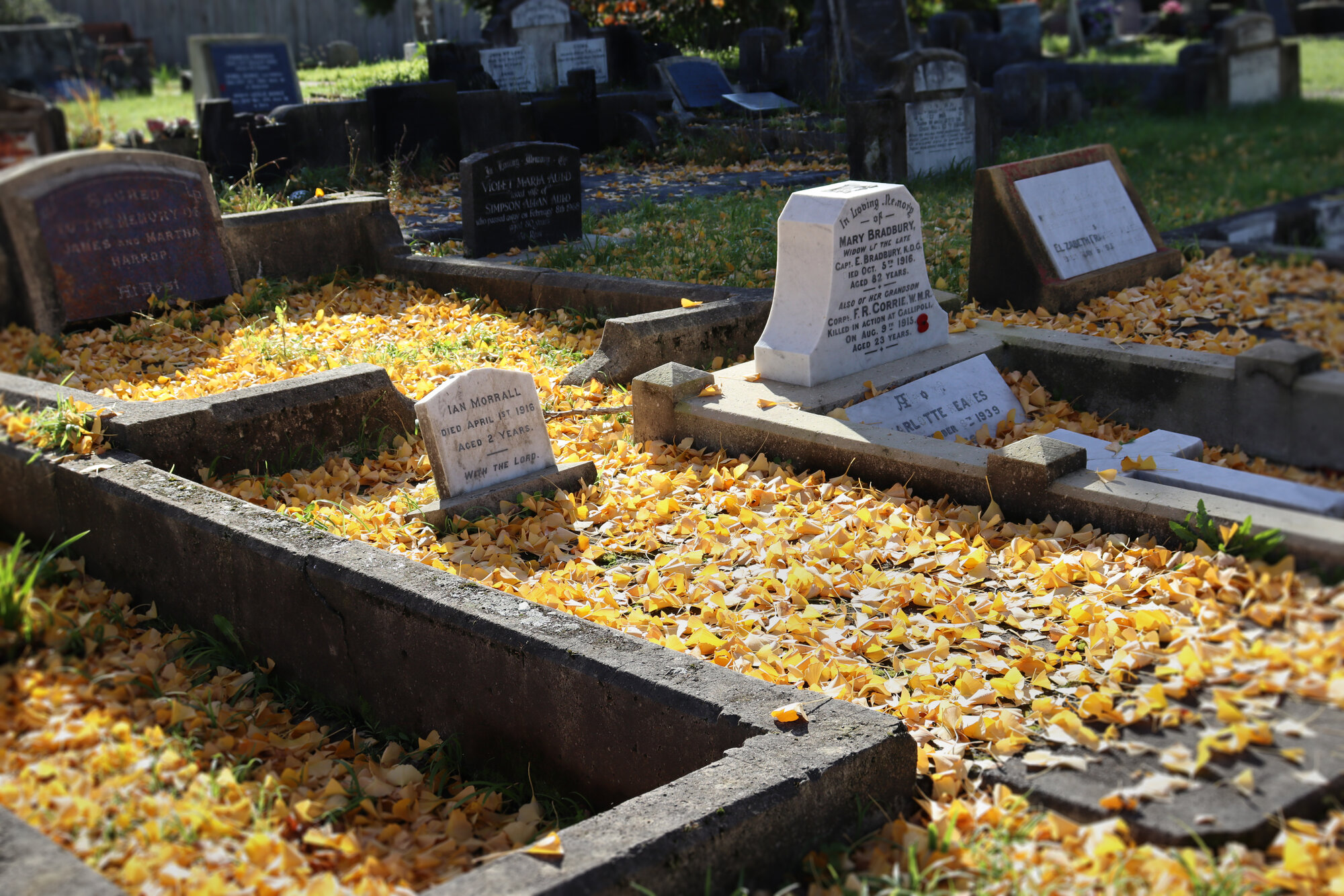 St John's Anglican Church; Trentham