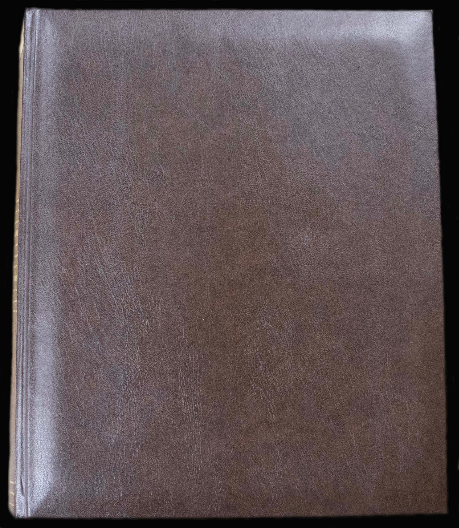 Silverstream Hospital Photo Album; 1982-1989