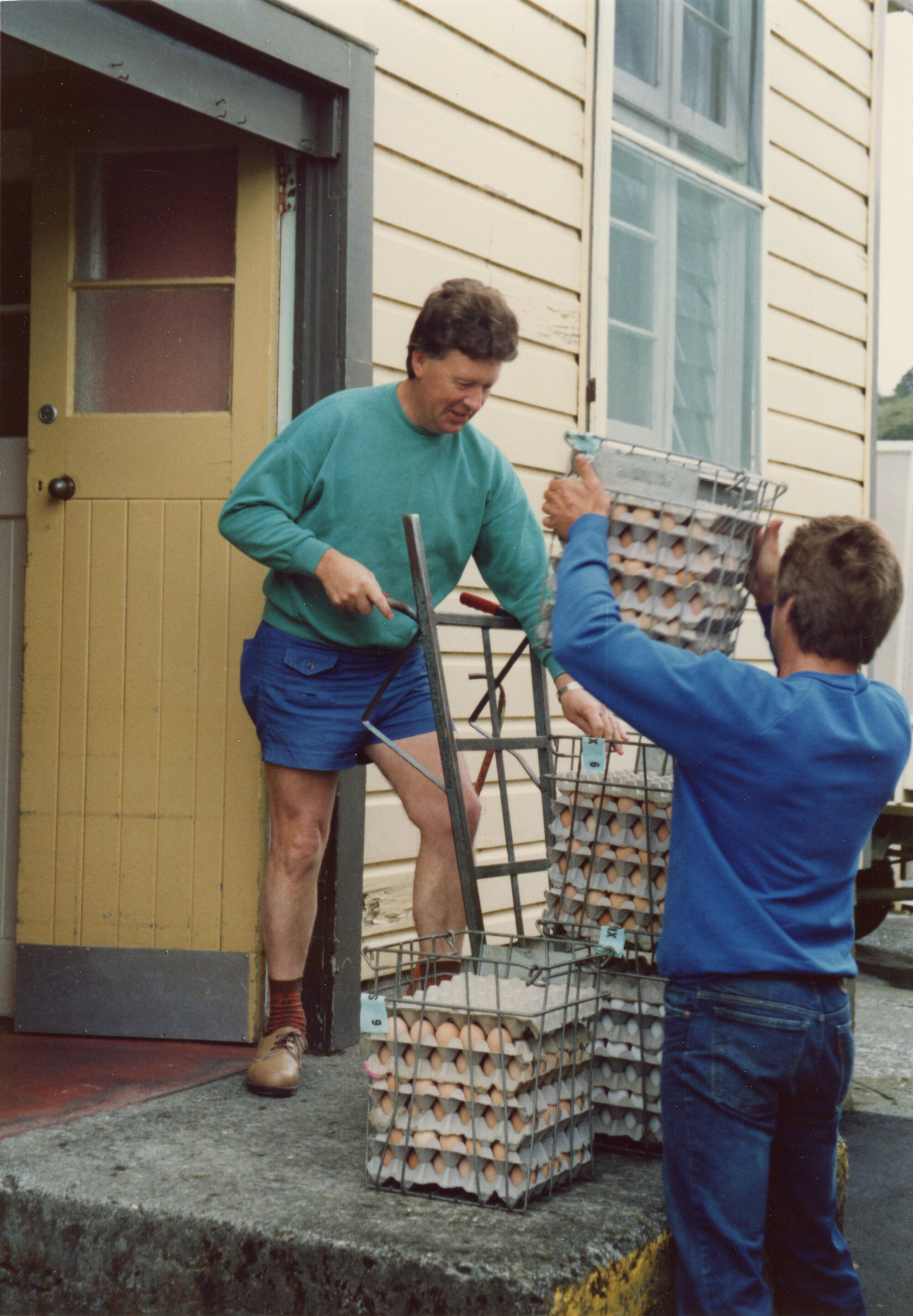 Silverstream Hospital; Egg Delivery; 1988