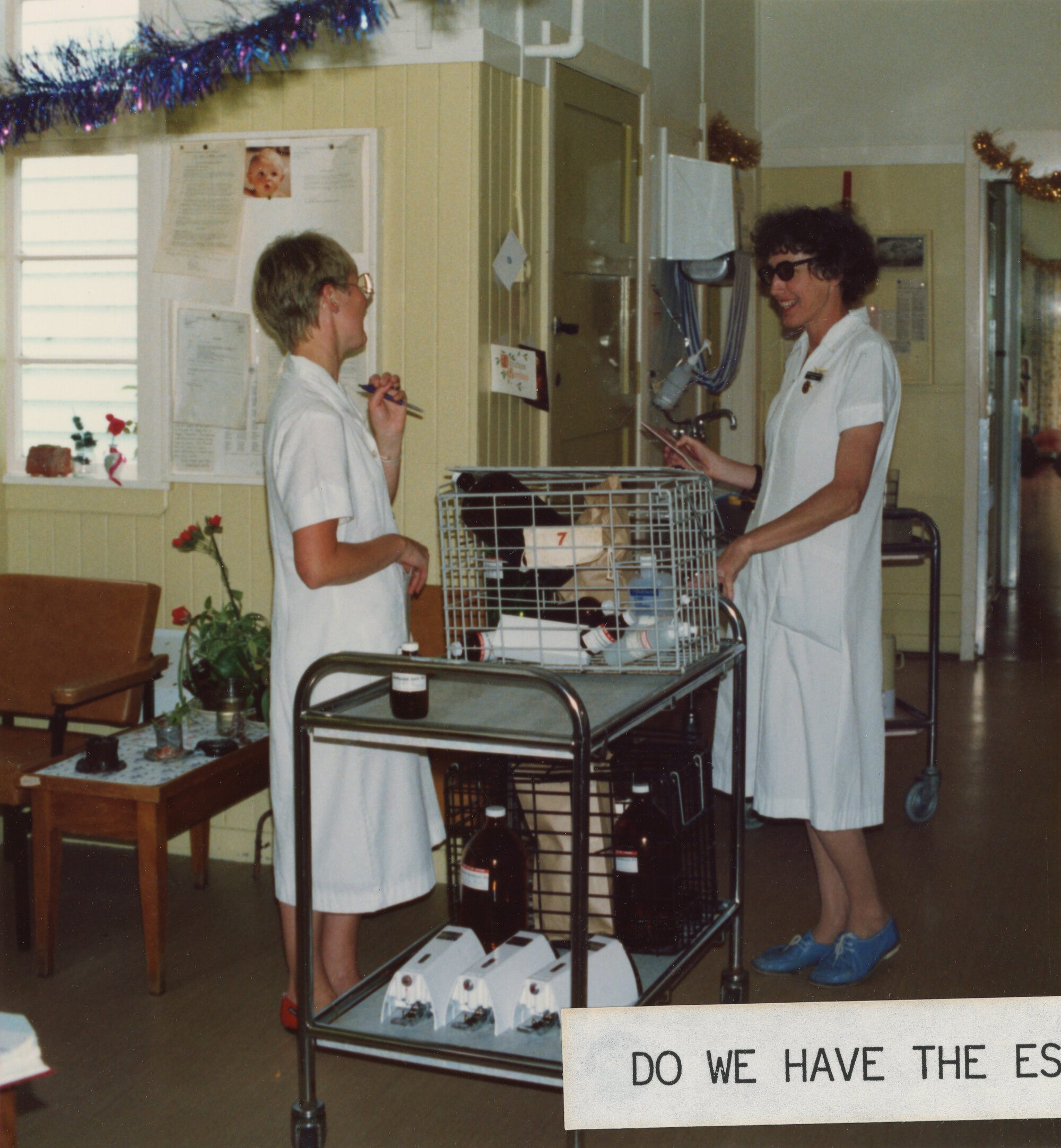 Silverstream Hospital; Pharmacist; 1988