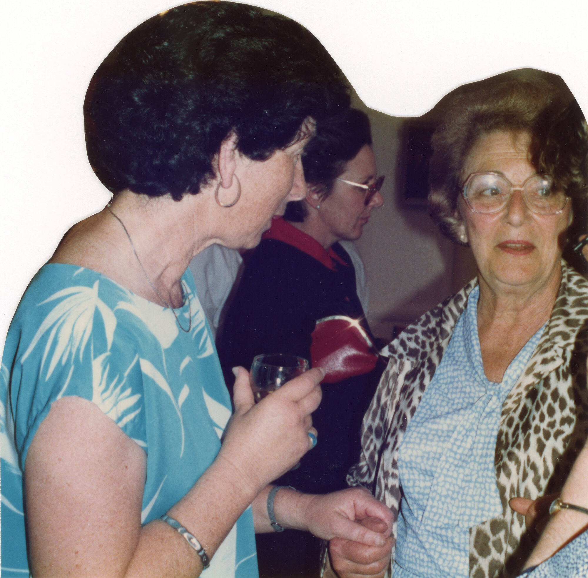 Silverstream Hospital; Dr. Susi Williams and Elisabeth Harper; 1988
