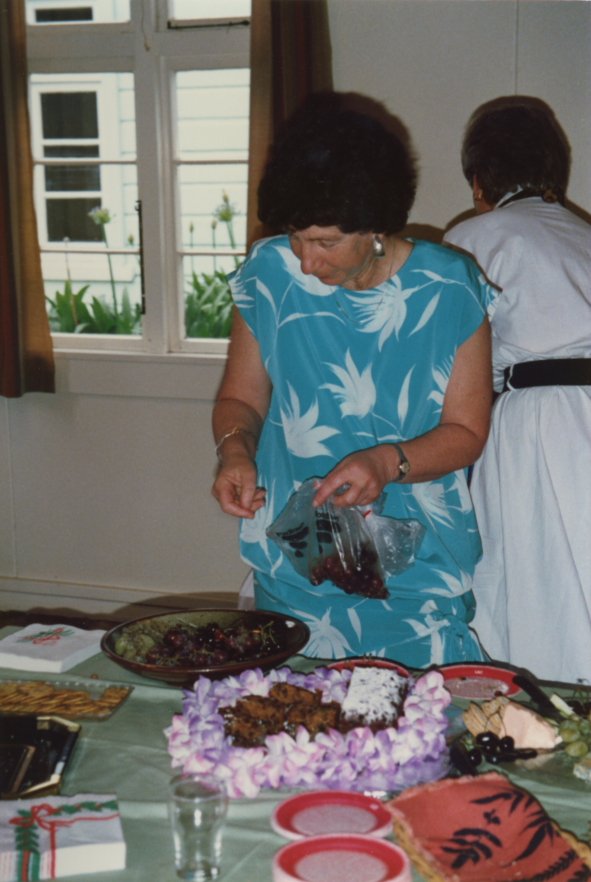 Silverstream Hospital; Dr. Susi Williams; 1988