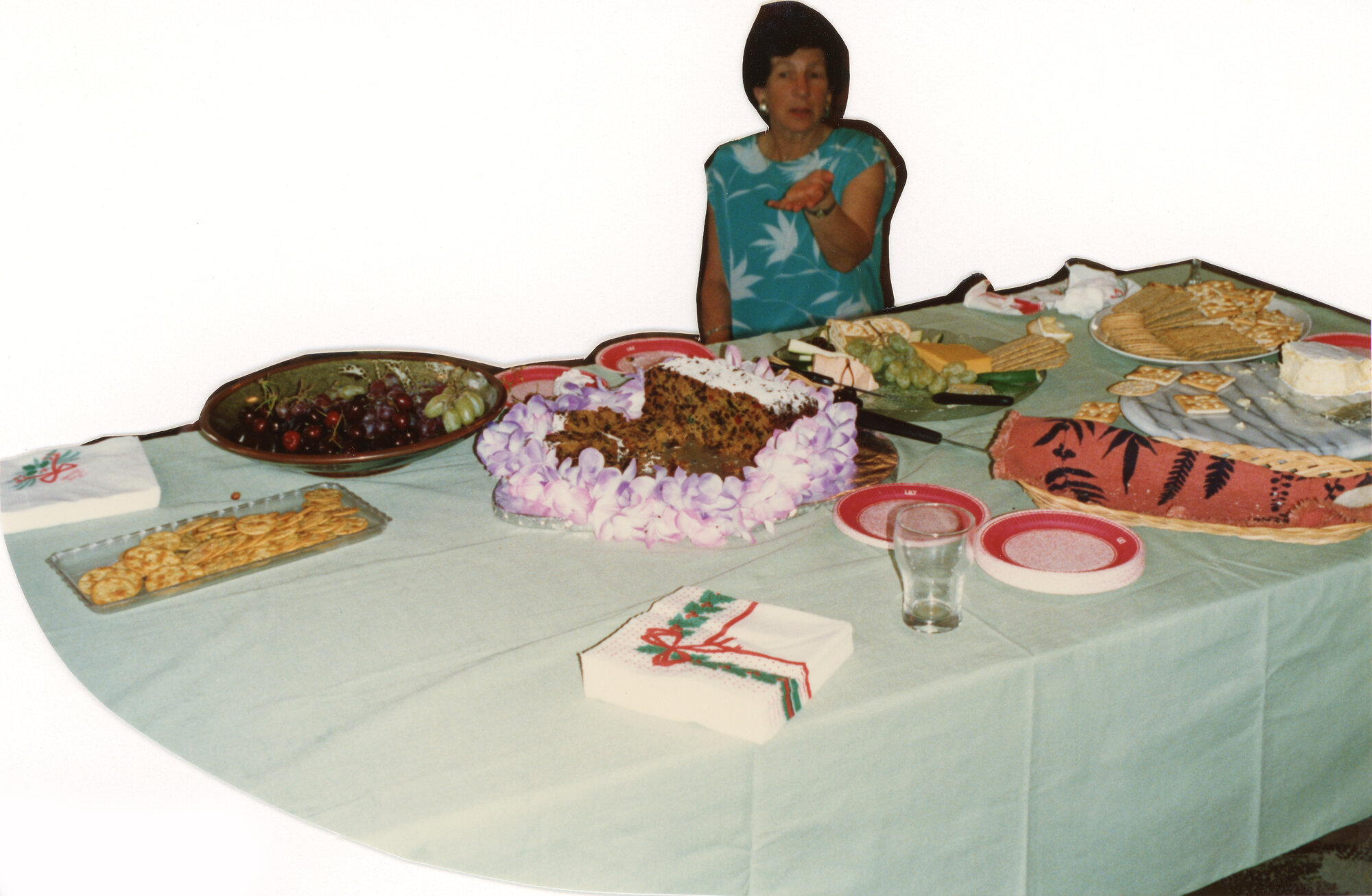 Silverstream Hospital; After Dr. Wilkinson's Leaving Party; 1988