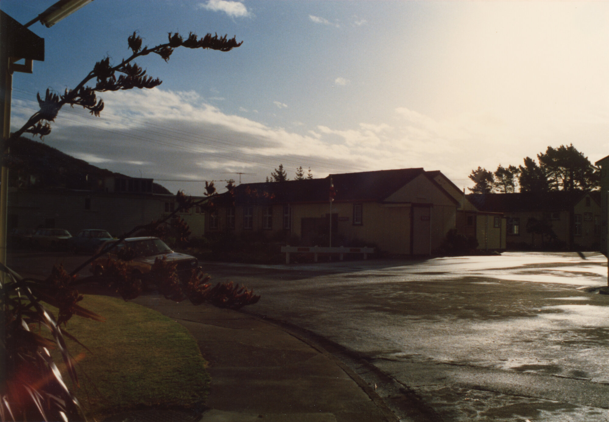Silverstream Hospital; Garden; 1988