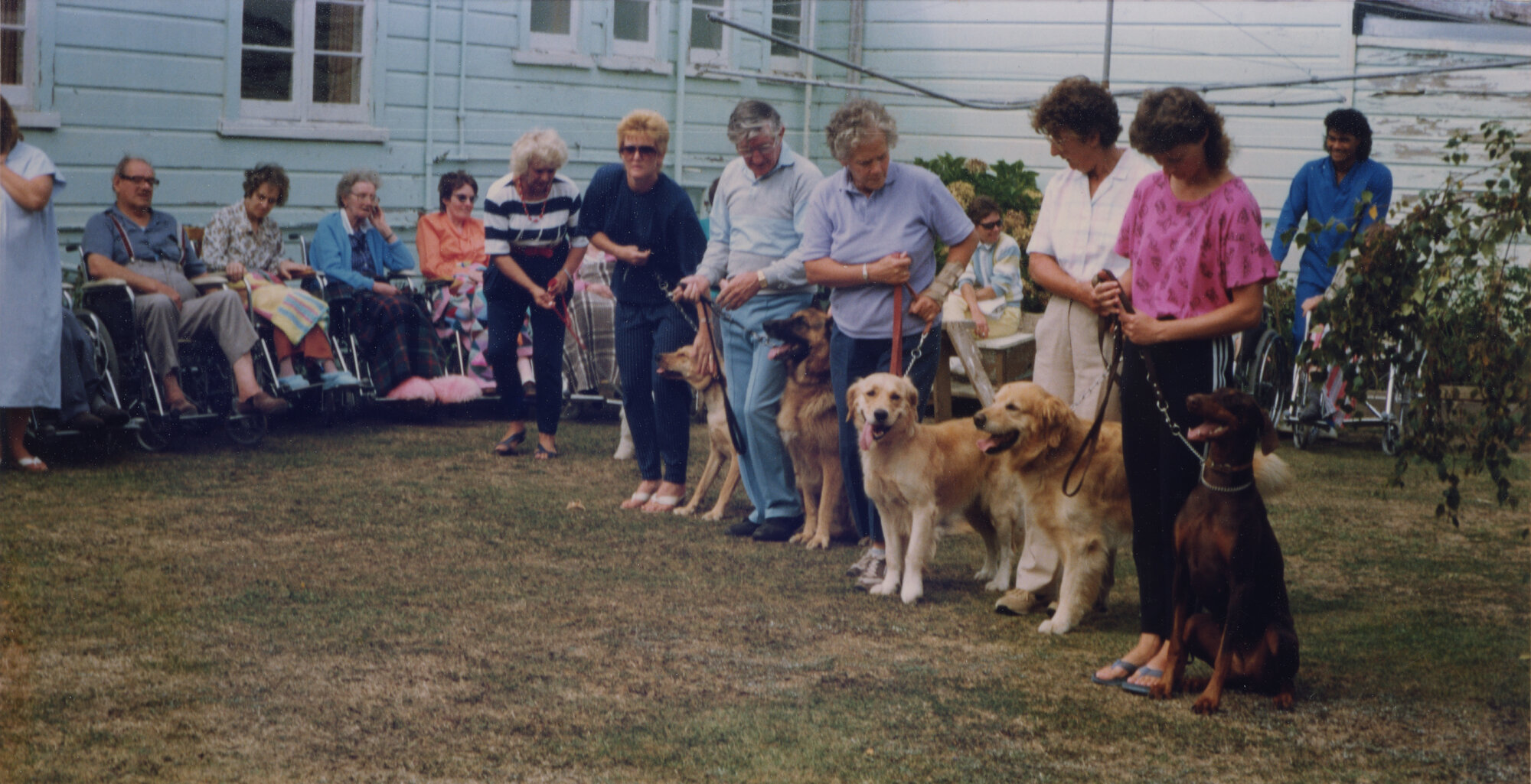 Silverstream Hospital; Dog Obedience Demonstration; ca. 1989