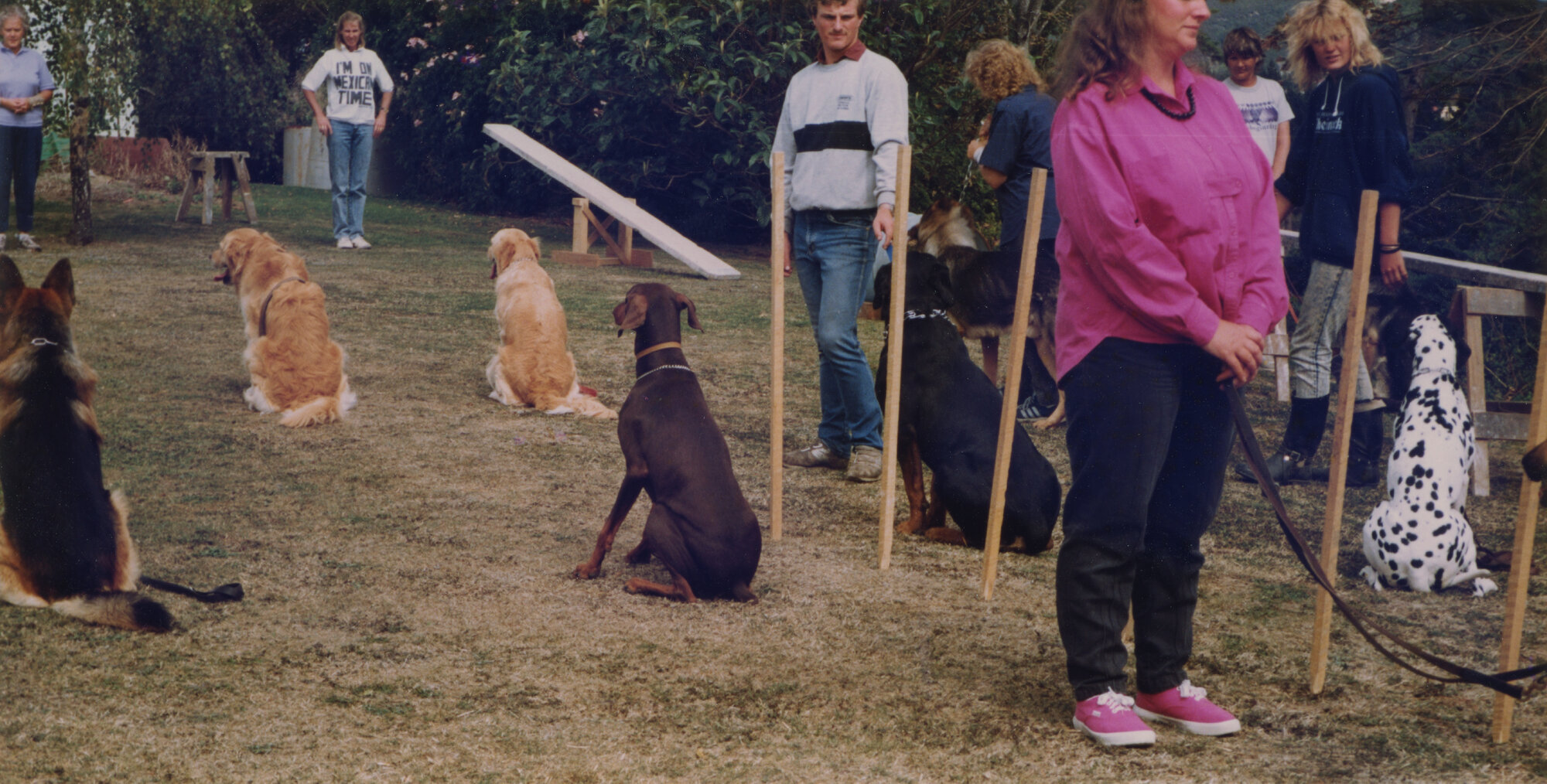 Silverstream Hospital; Dog Obedience Demonstration; ca. 1989