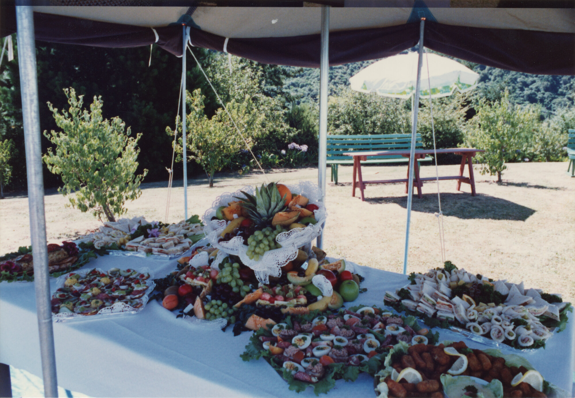 Silverstream Hospital; Garden Party Food Table; 1988