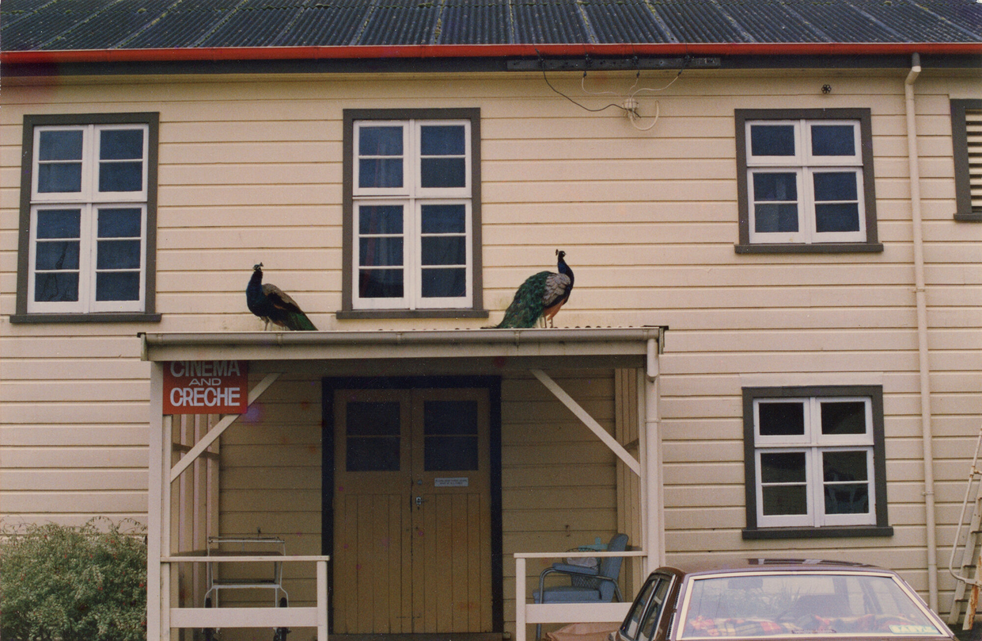 Silverstream Hospital; Peacocks; ca. 1980s