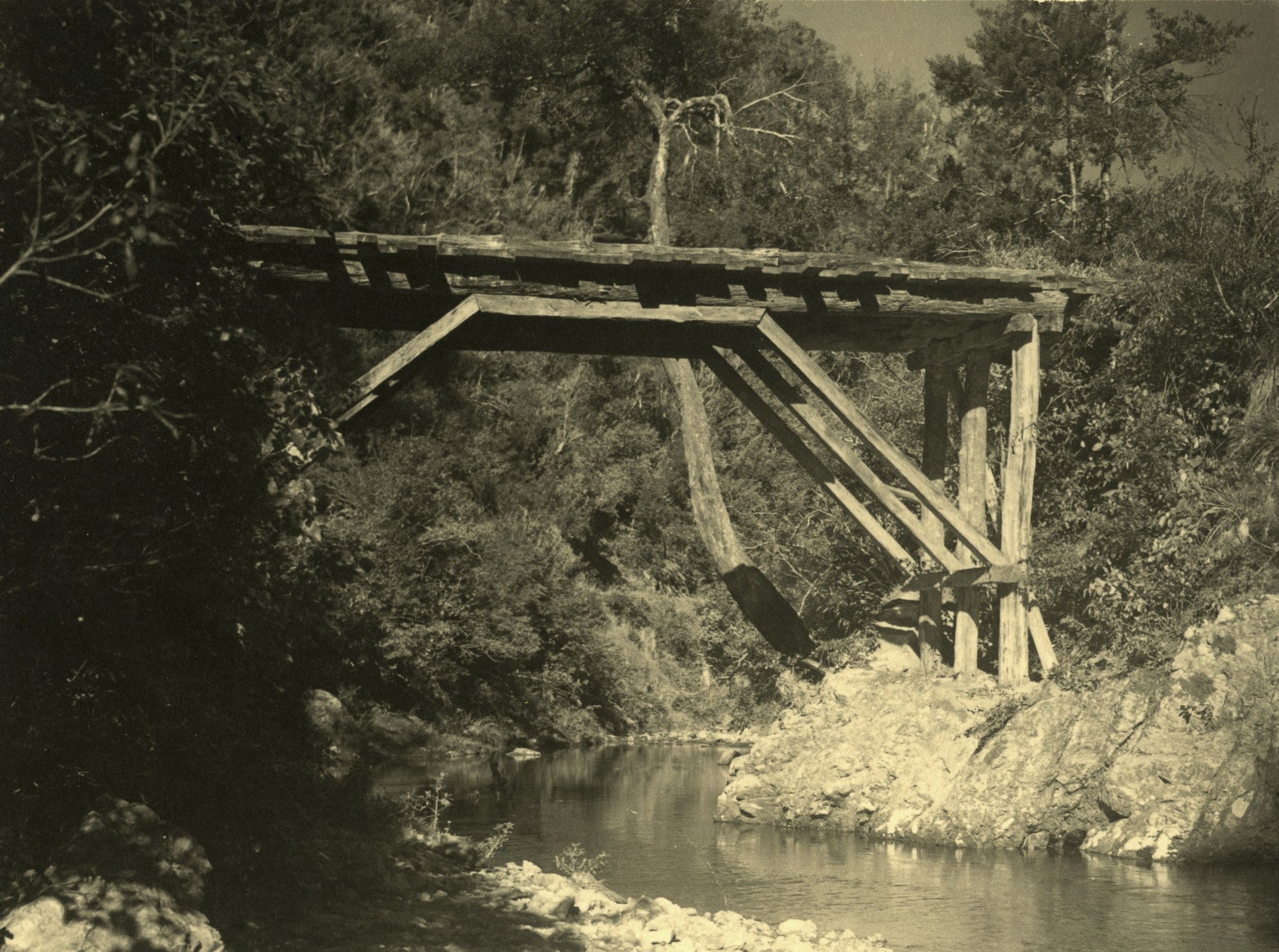 Karapoti; Pioneer Bridge on mill track.