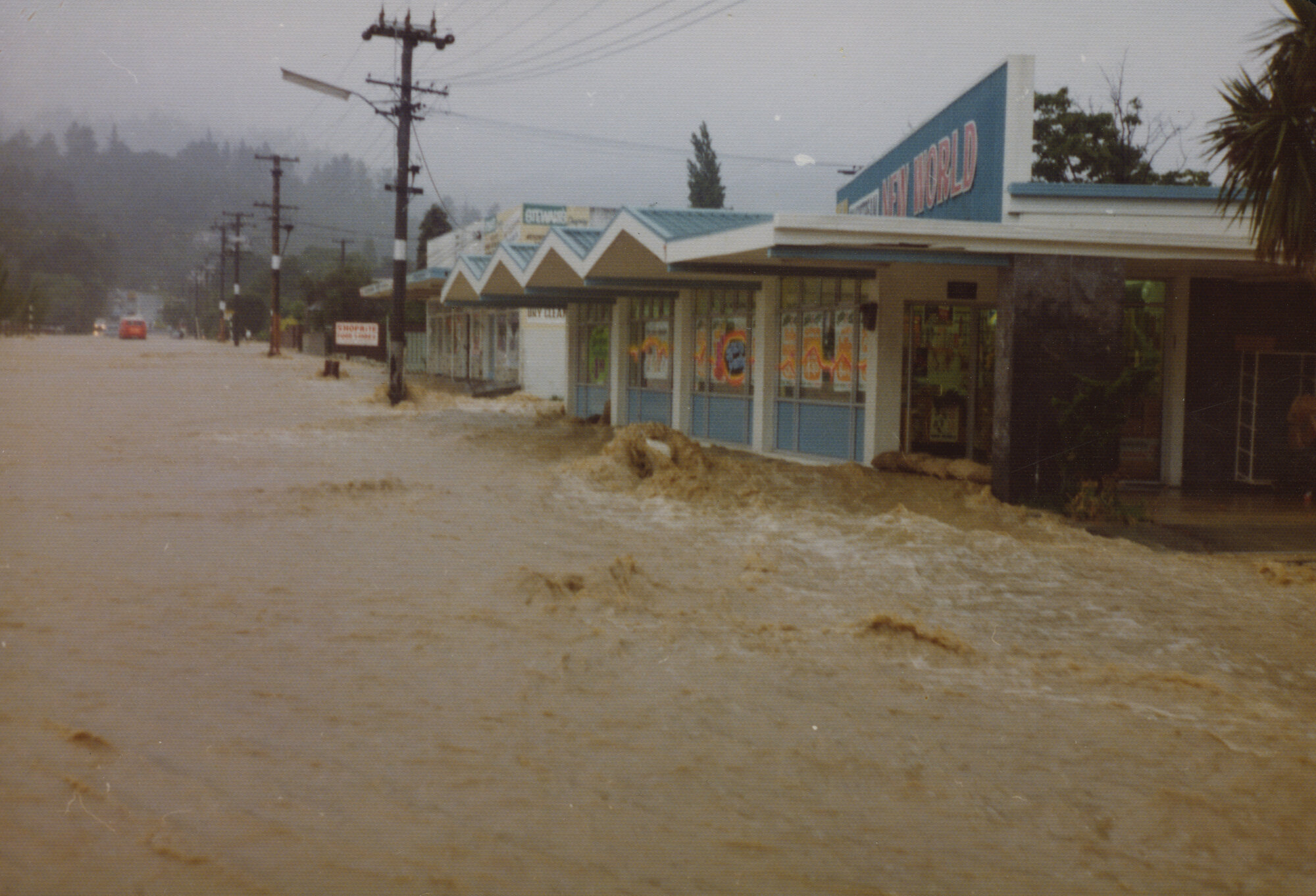 Flood, 1976; Silverstream, Weddell series; Whiteman's Road, looking south.