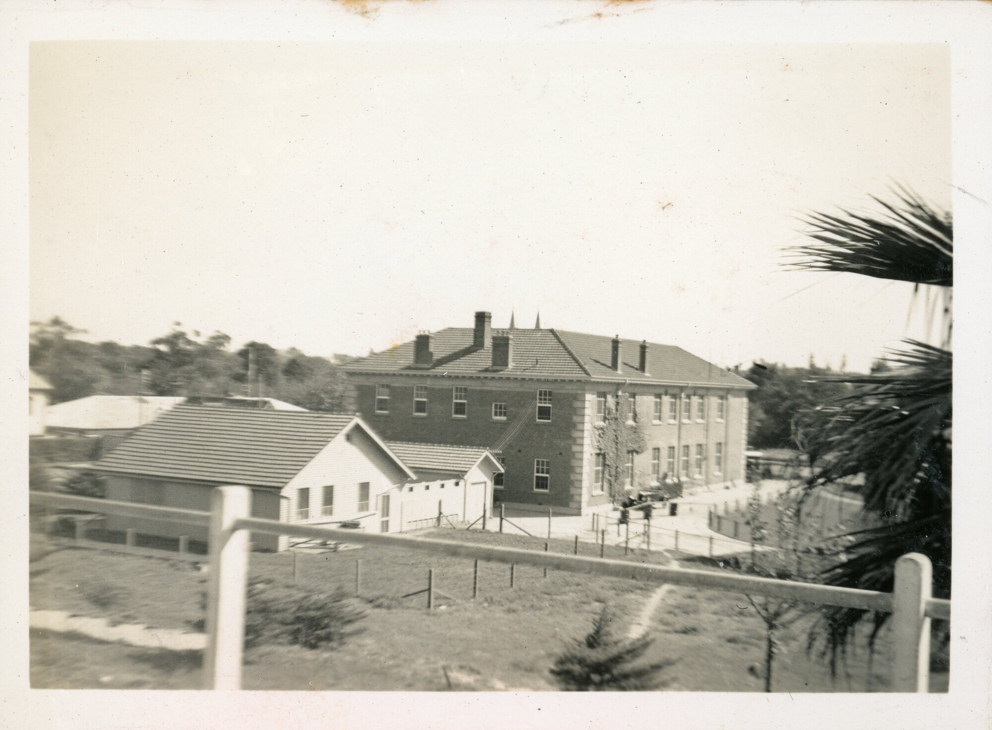 Adelaide University; Animal Nutrition Laboratory; 1935