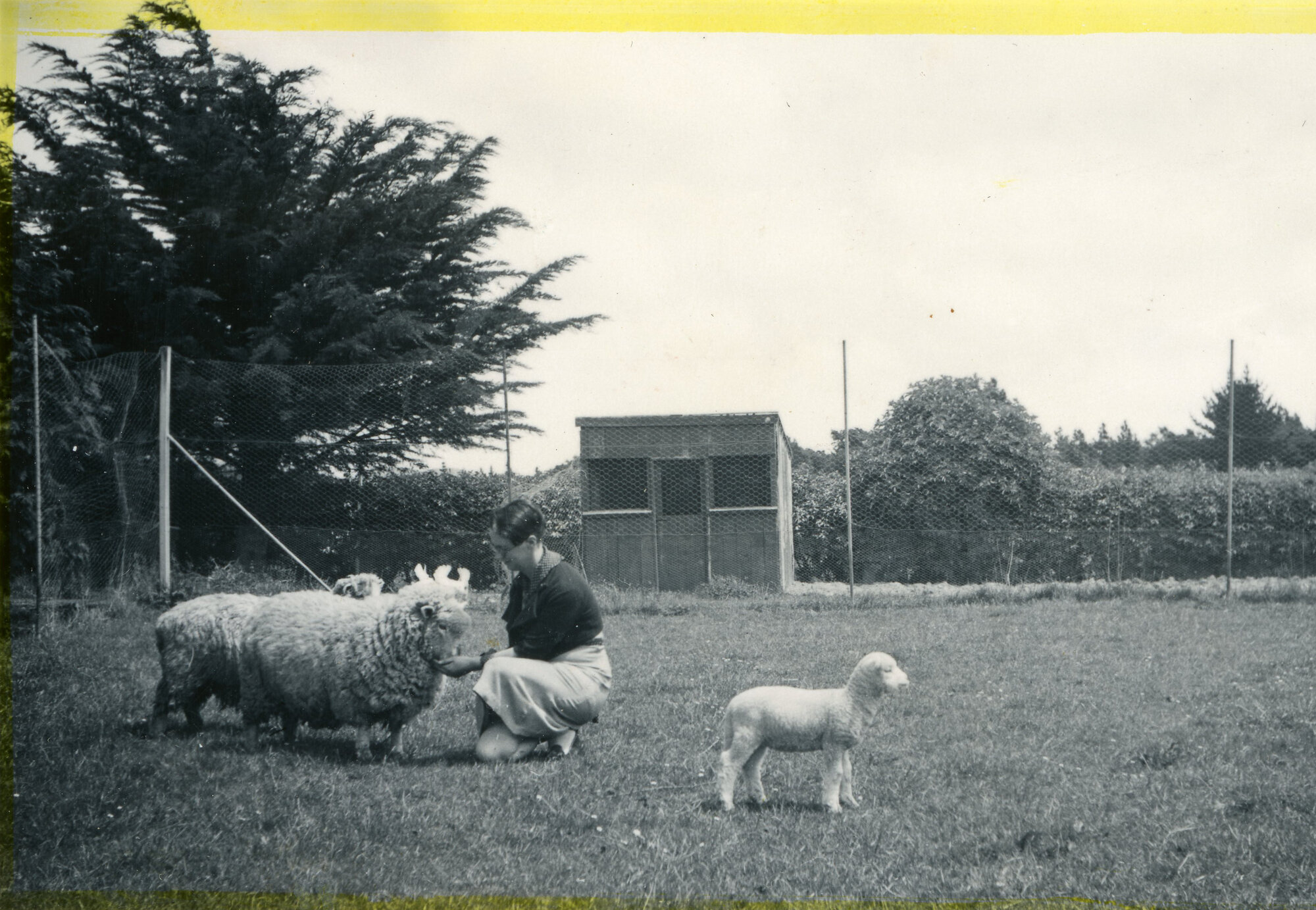 Wallaceville Animal Research Centre; Elsie Naviro Josland; 1936