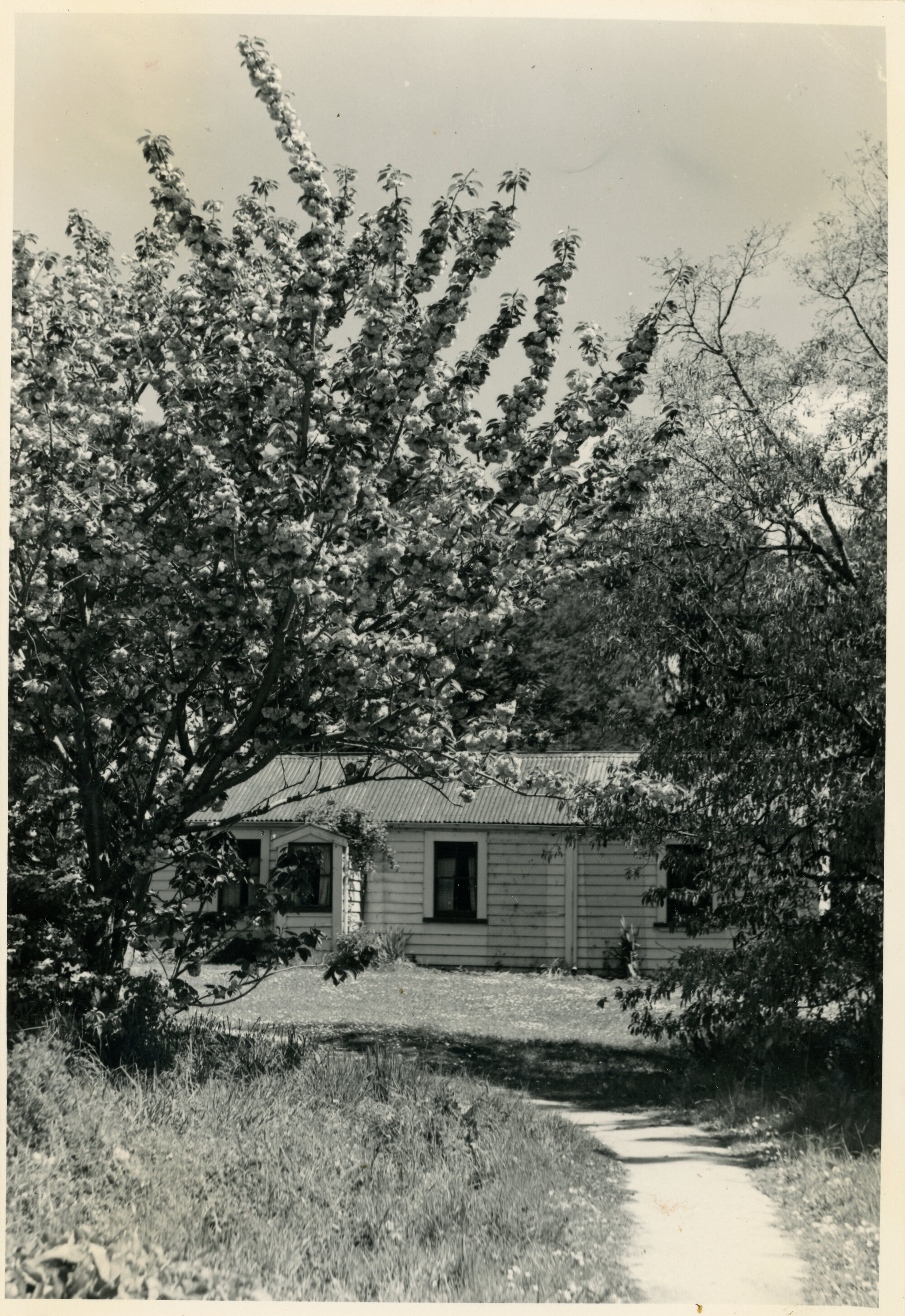 Wallaceville Animal Research Centre; Creely's Cottage; ca. 1949