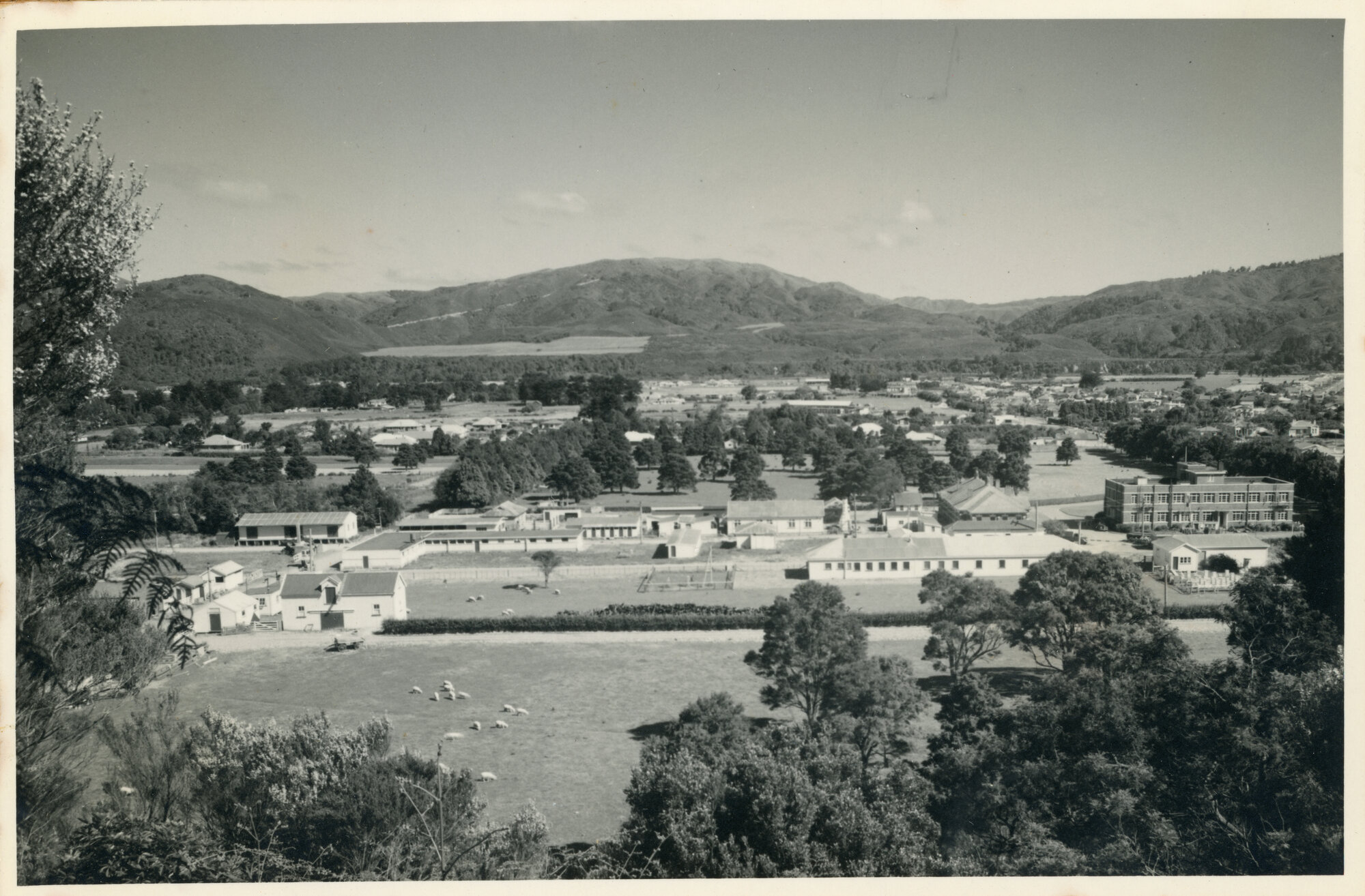 Wallaceville Animal Research Centre; 1941-1954