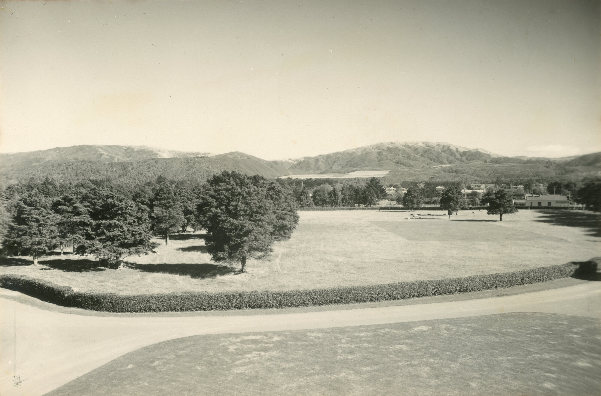 Wallaceville Animal Research Centre; Cricket Pitch; 1929-1954