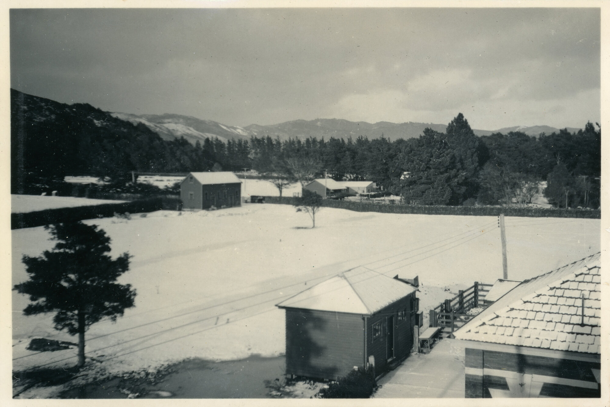 Wallaceville Animal Research Centre; Snow; 1939