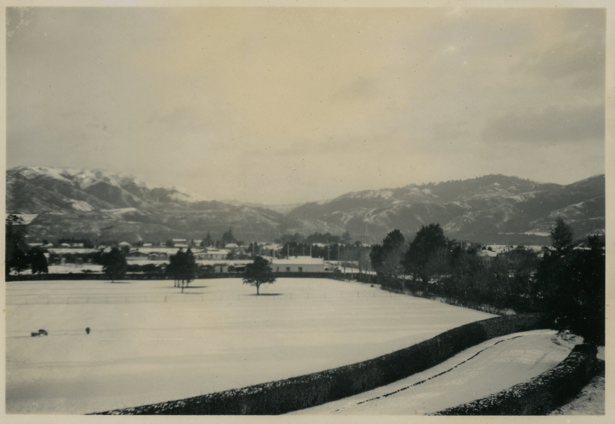 Wallaceville Animal Research Centre; Snow; 1939