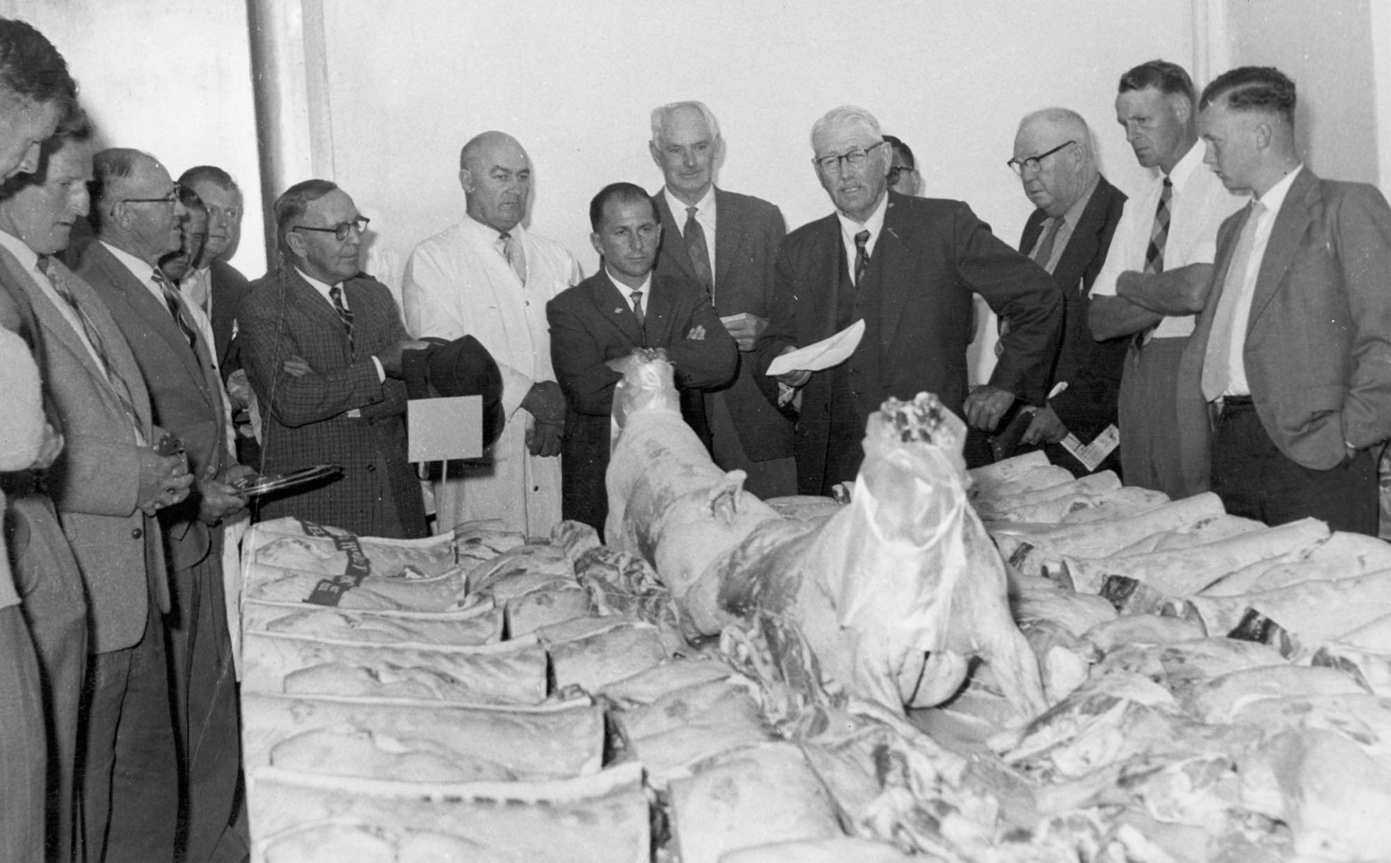 A &amp; P show 1961; jointed meat carcasses displayed for judging.