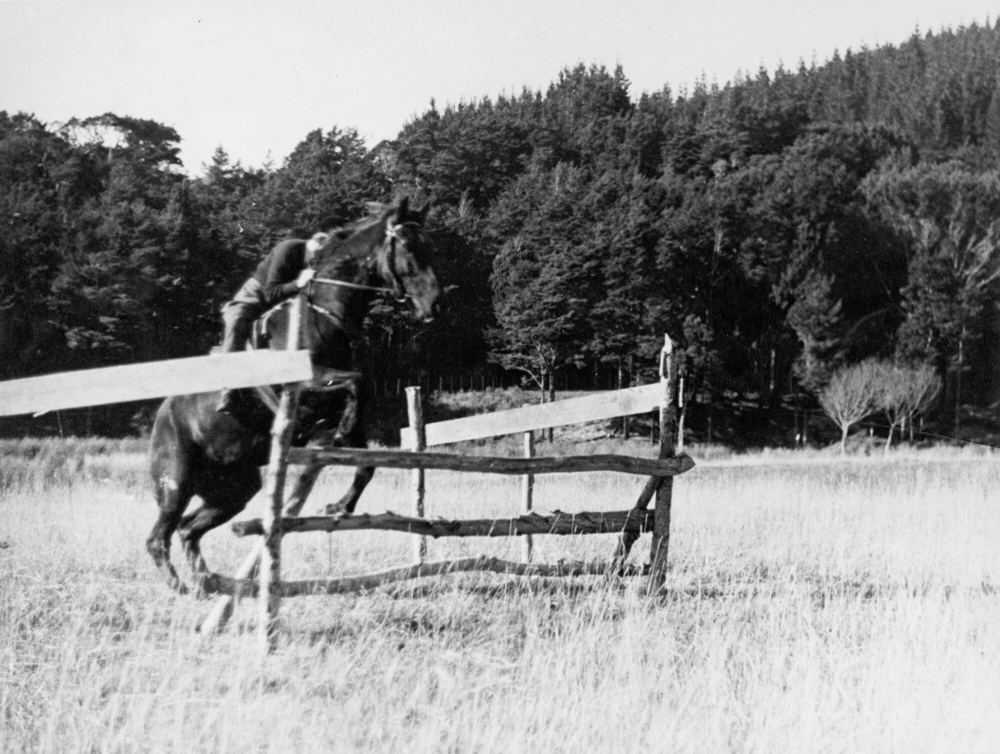 A &amp; P show; competitor taking horse over jump.