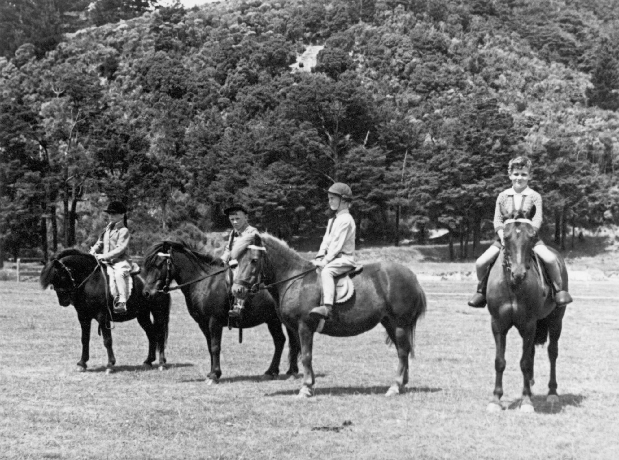 A &amp; P show; four small children on ponies, Trentham.