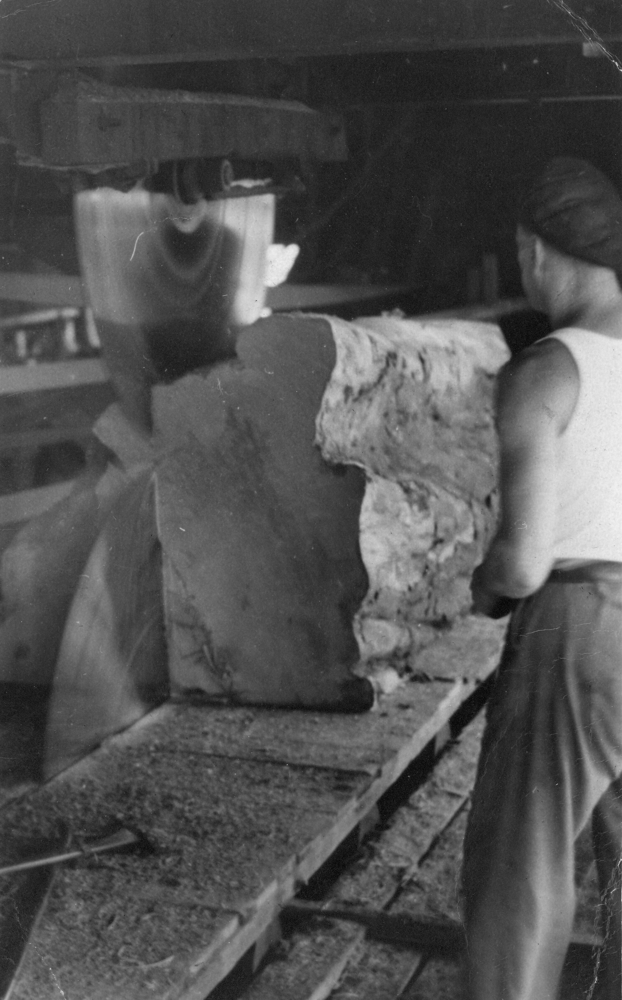 Timber industry; Campbells Sawmills Ltd, Goodshed Road; breaking-down saws, Ted Beavis.