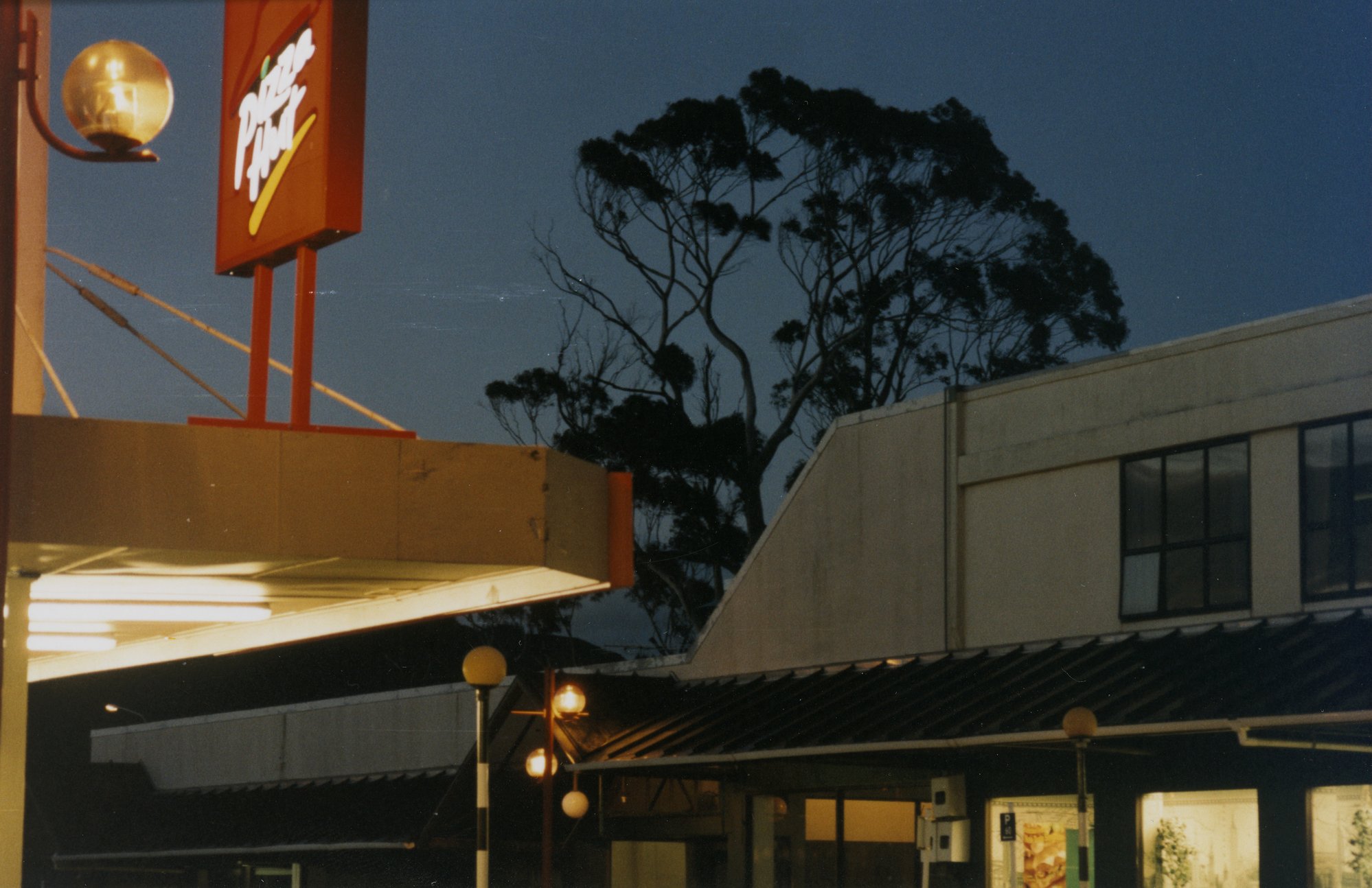Logan Street; manna gum trees in Hoggard Lane carpark, seen from Main Street corner at dusk.
