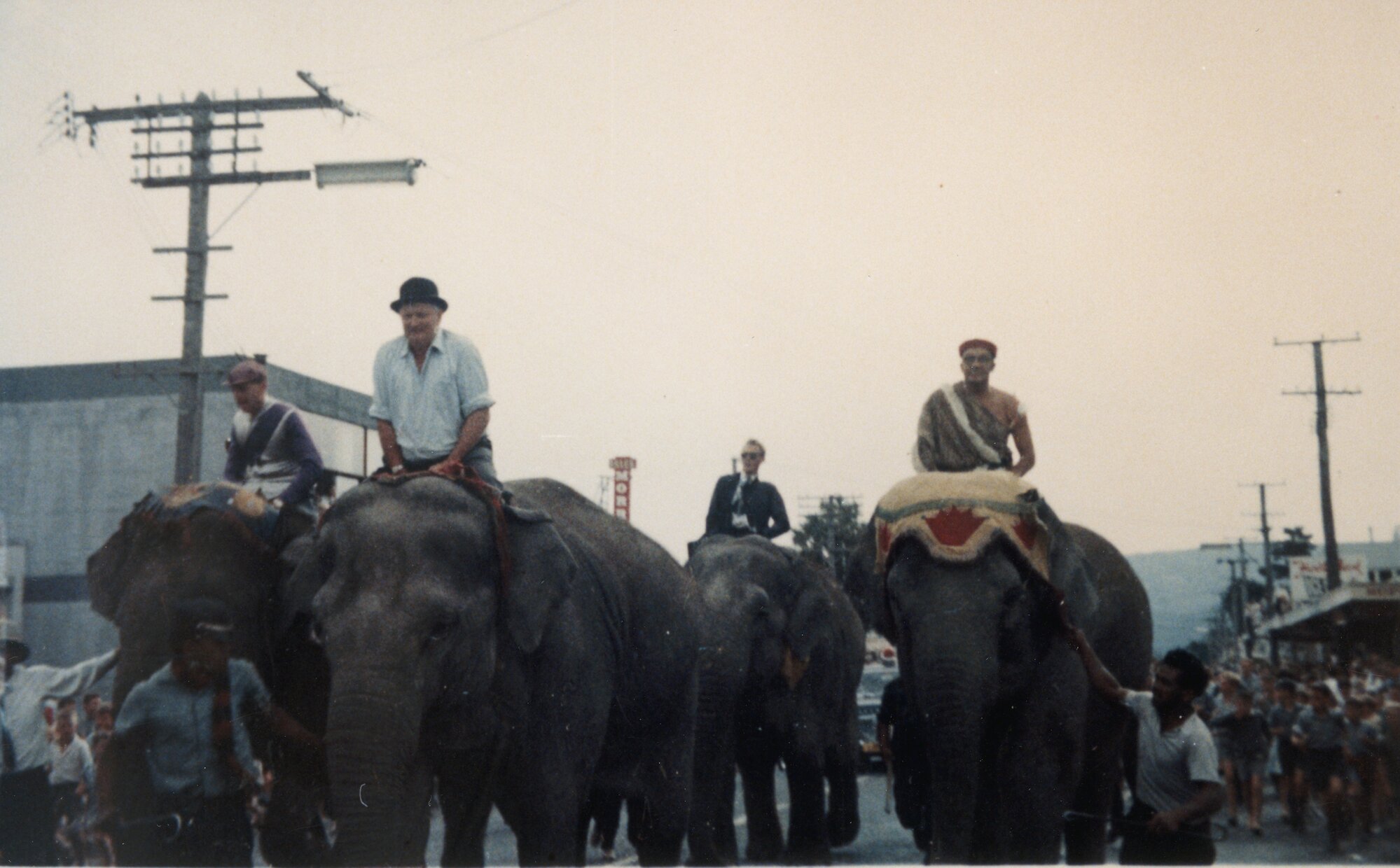 Main Street; elephant race to raise money for Maidstone pools filtration plant.