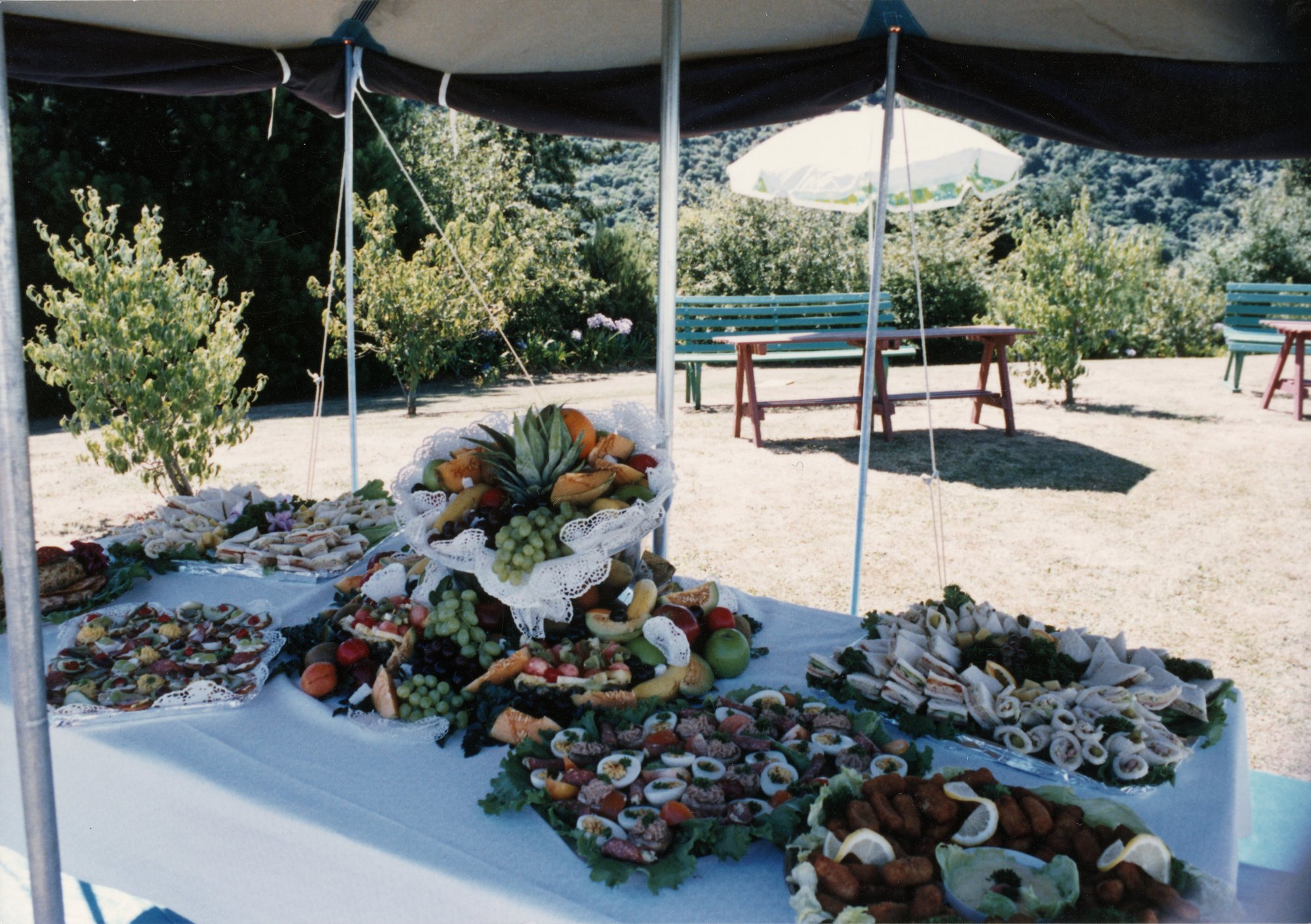 Silverstream Hospital; garden party table. [P2-769-1896]