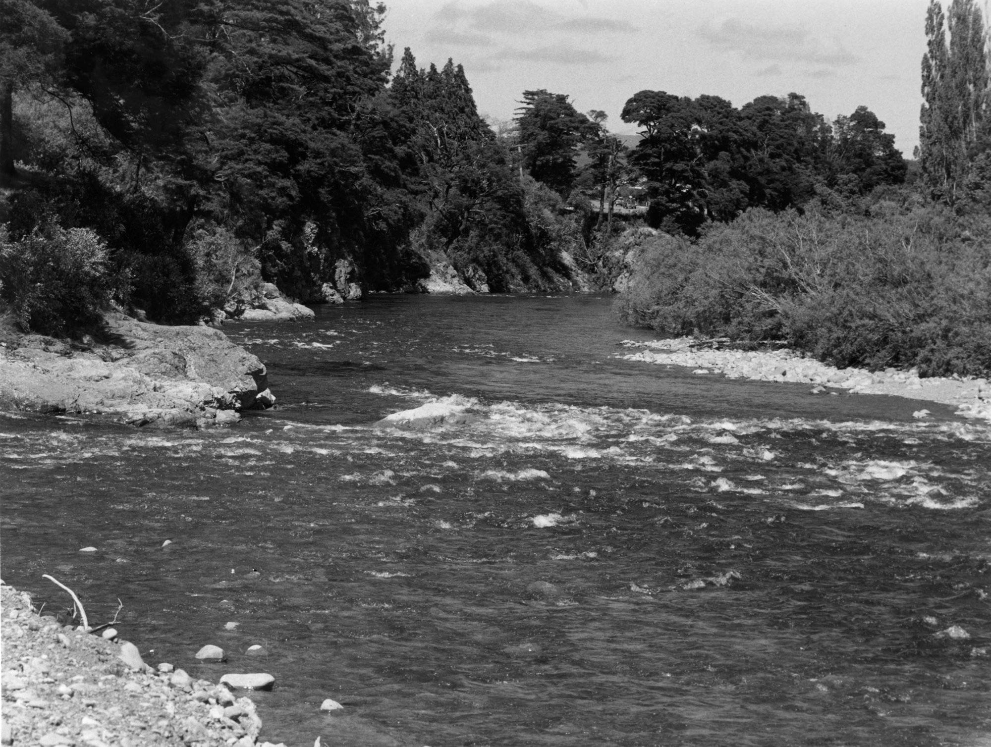 Te Awa Kairangi / Hutt River, looking downstream from its confluence with the Akatarawa River.