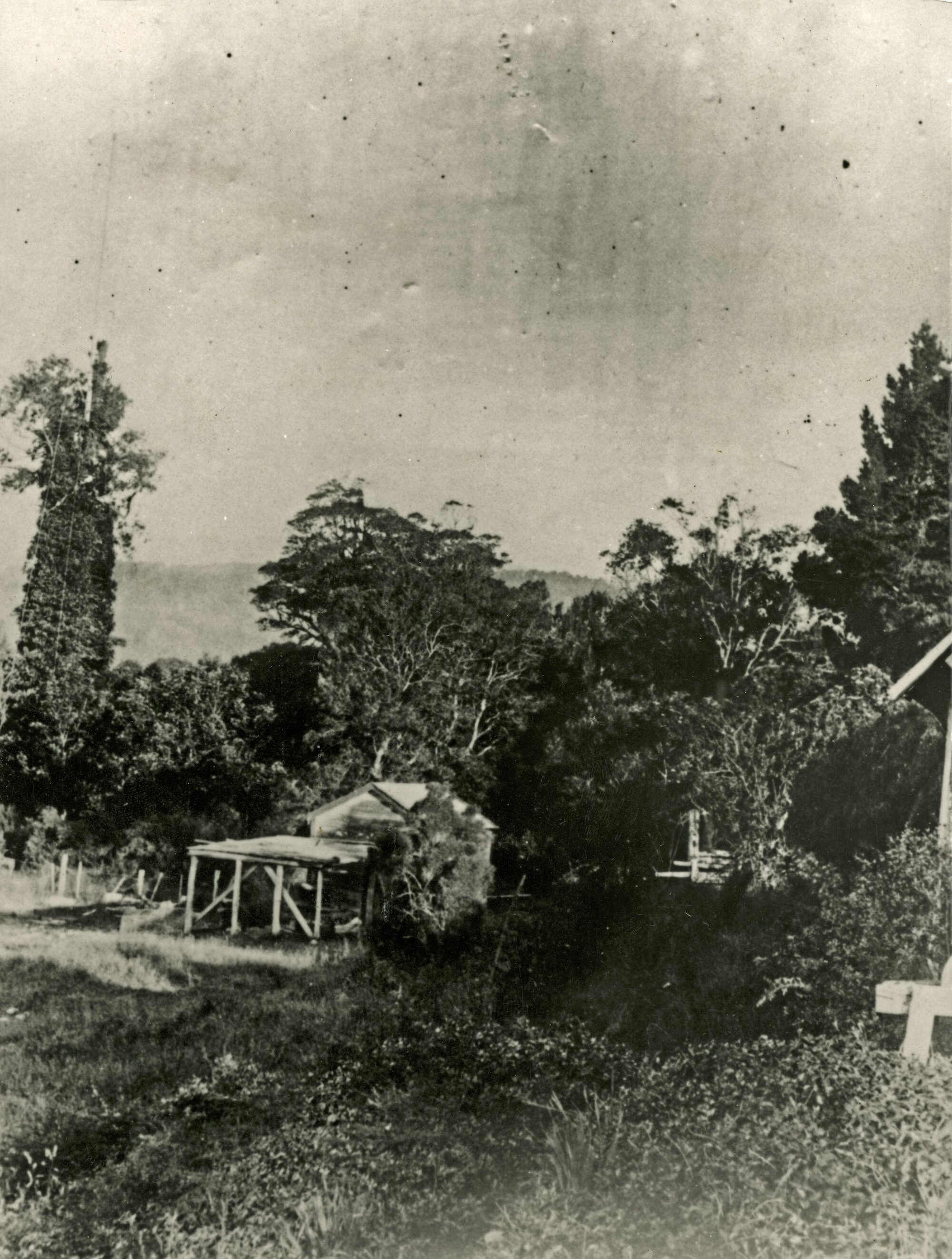 Barton Bush; old wood mill.