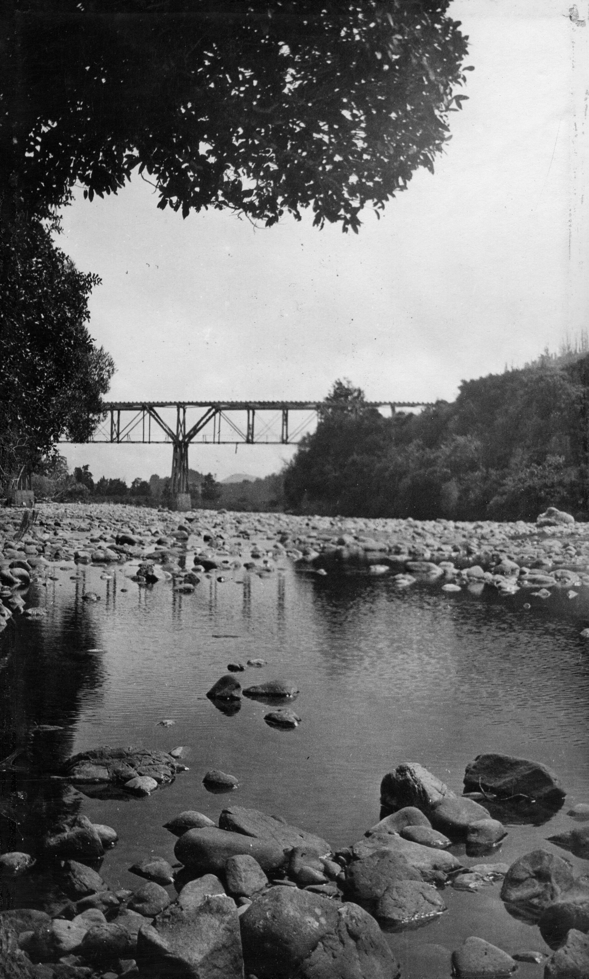 Bush tramway bridge, crossing Te Awa Kairangi / Hutt River at Te Marua.