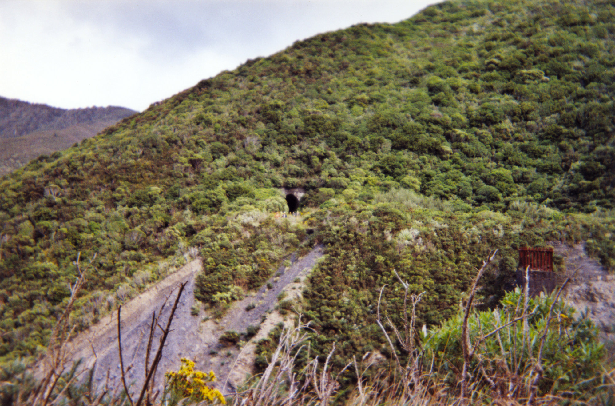 Rimutaka Incline; 'Siberia' (Horseshoe Gully).