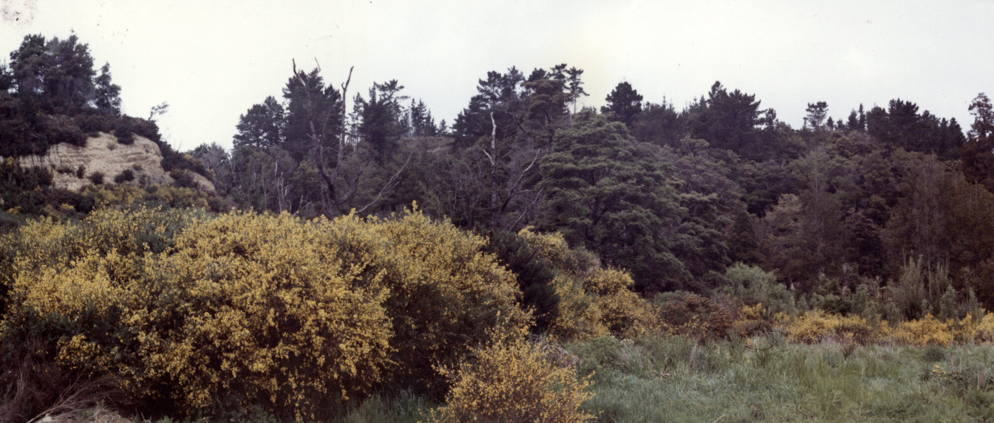 Kingsley Heights 1974 11 first street (King Charles Drive) chainage 100 metres