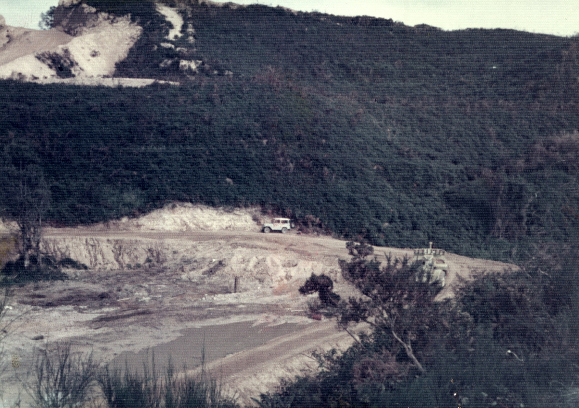 Kingsley Heights 1976 04; settlement pond on Housing Corporation land 01