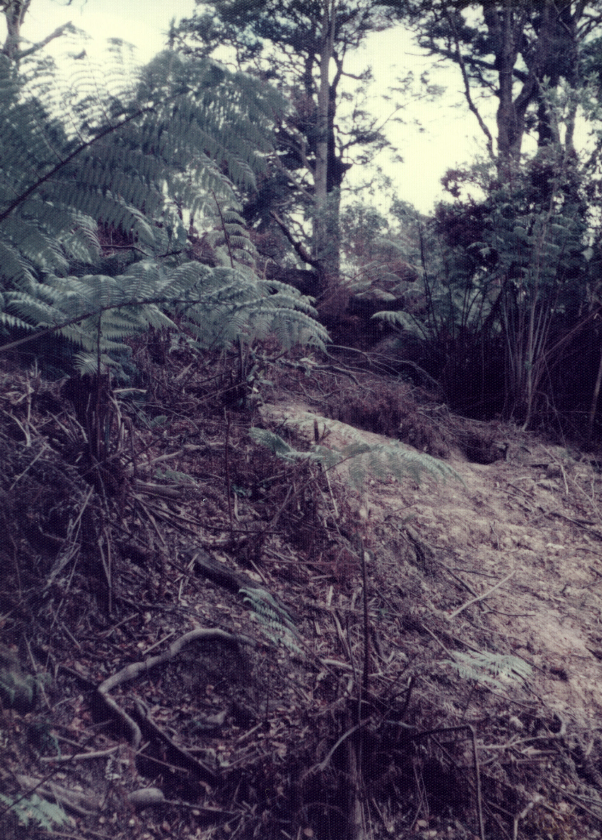 Kingsley Heights 1976 01; first street (King Charles Drive) chainage 500 metres