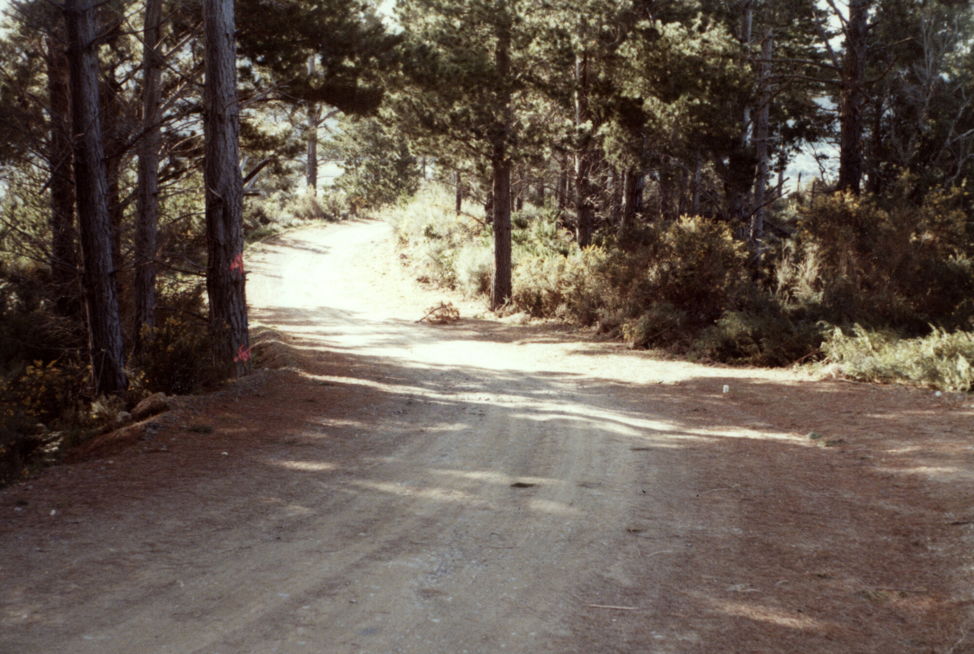 Kingsley Heights 1978 09; subdivision 03