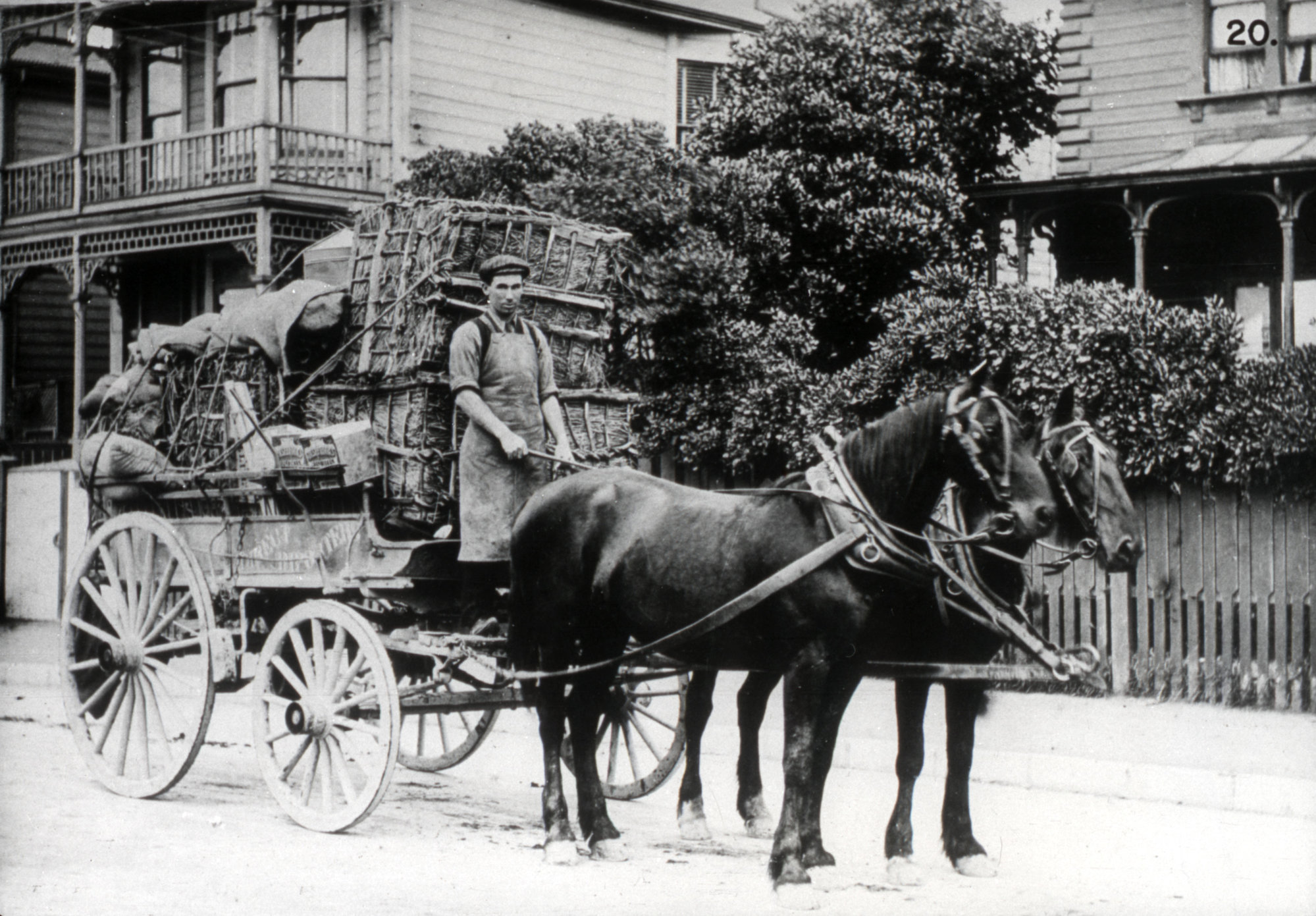 Hutt Valley History 20; Road Transport; horses and a brake