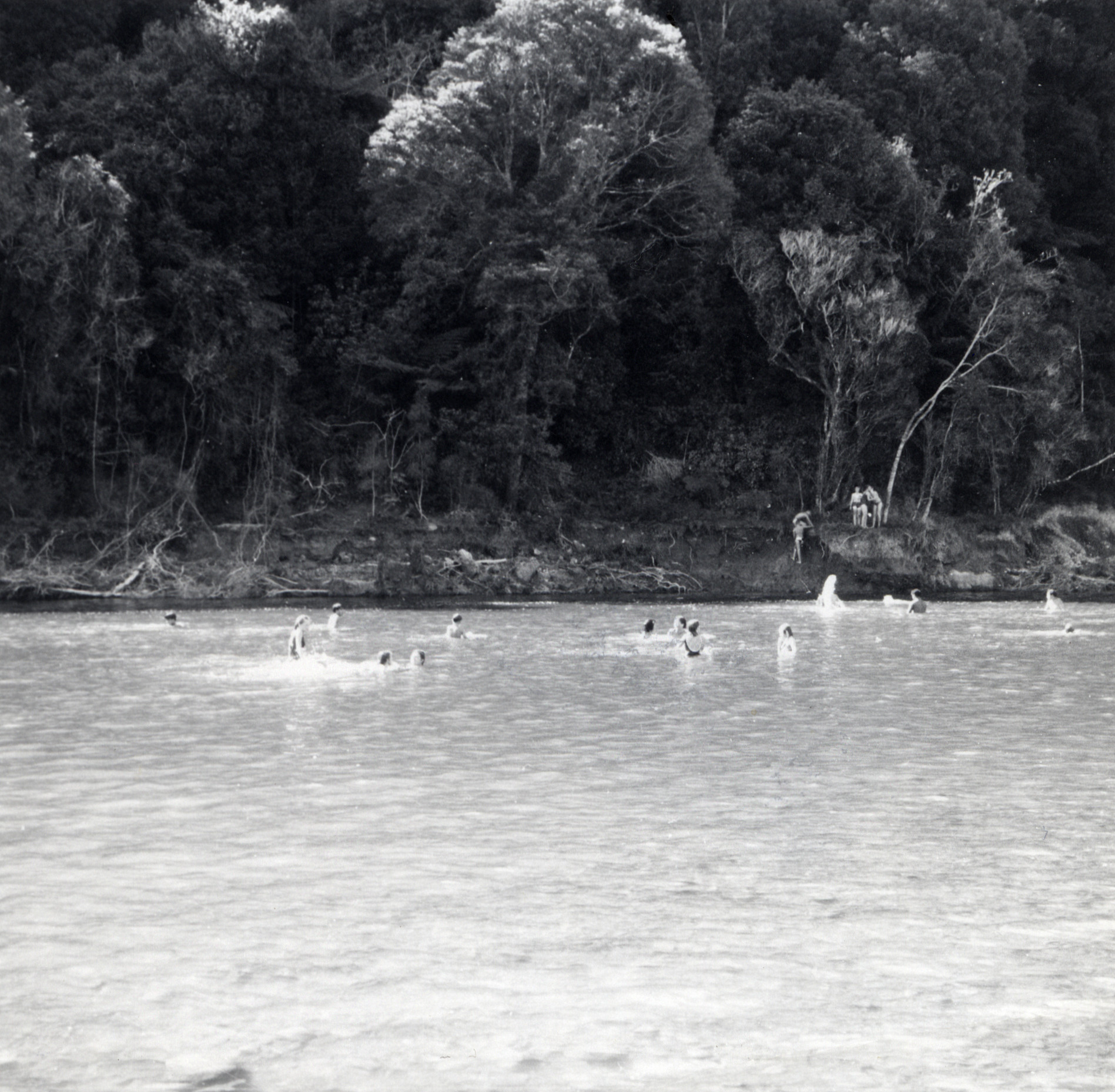 Te Awa Kairangi / Hutt River swimming